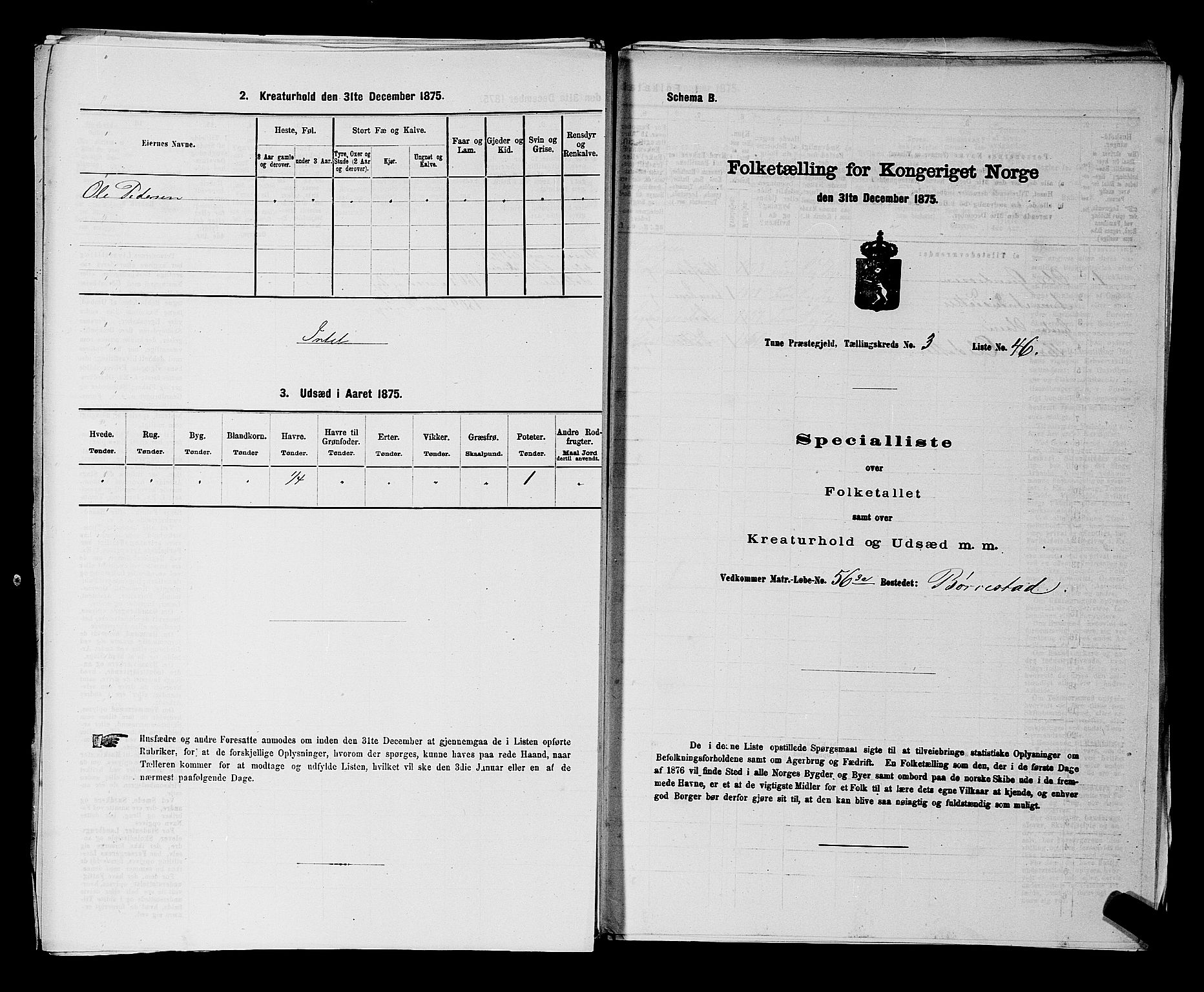 RA, 1875 census for 0130P Tune, 1875, p. 517