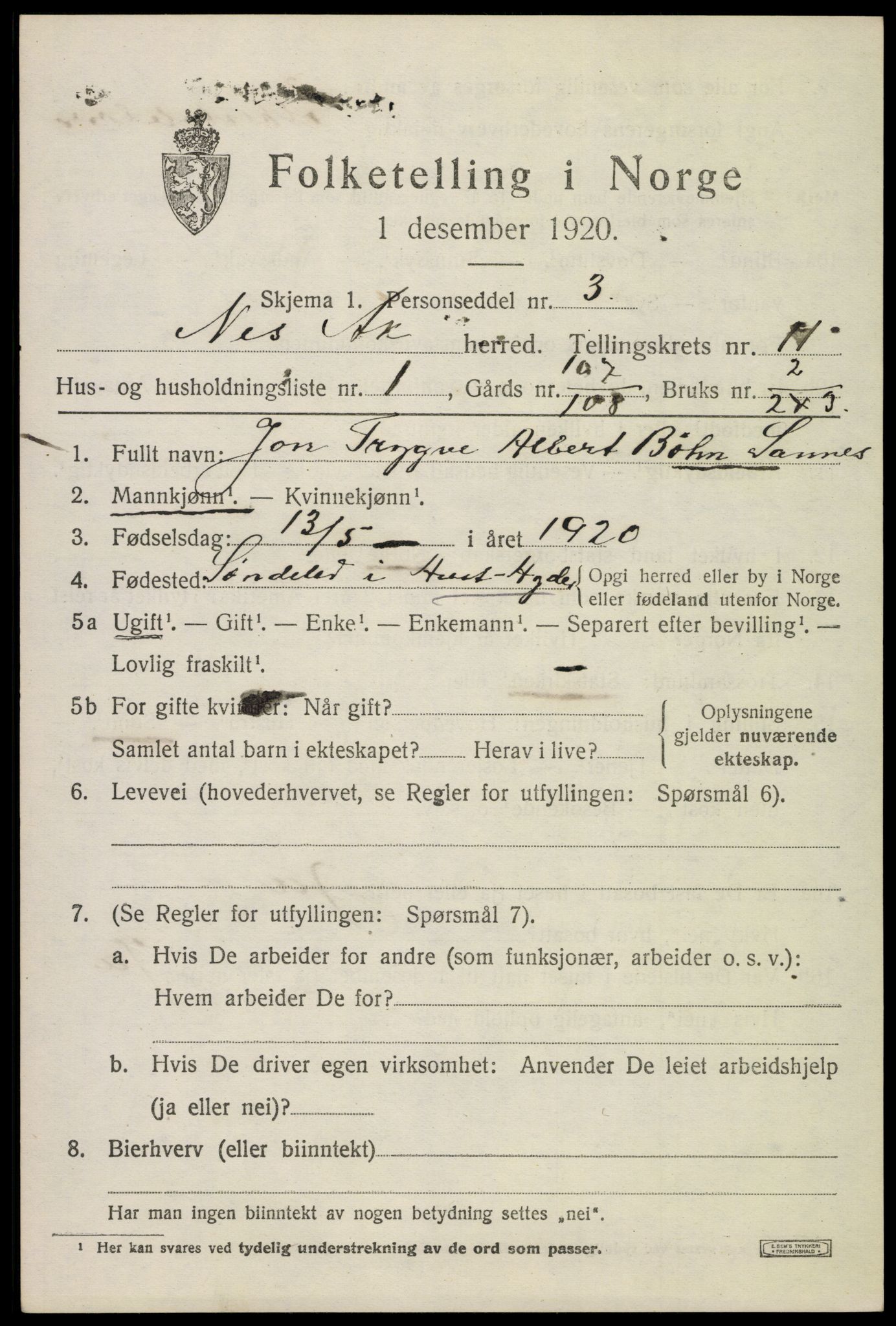 SAO, 1920 census for Nes, 1920, p. 11392