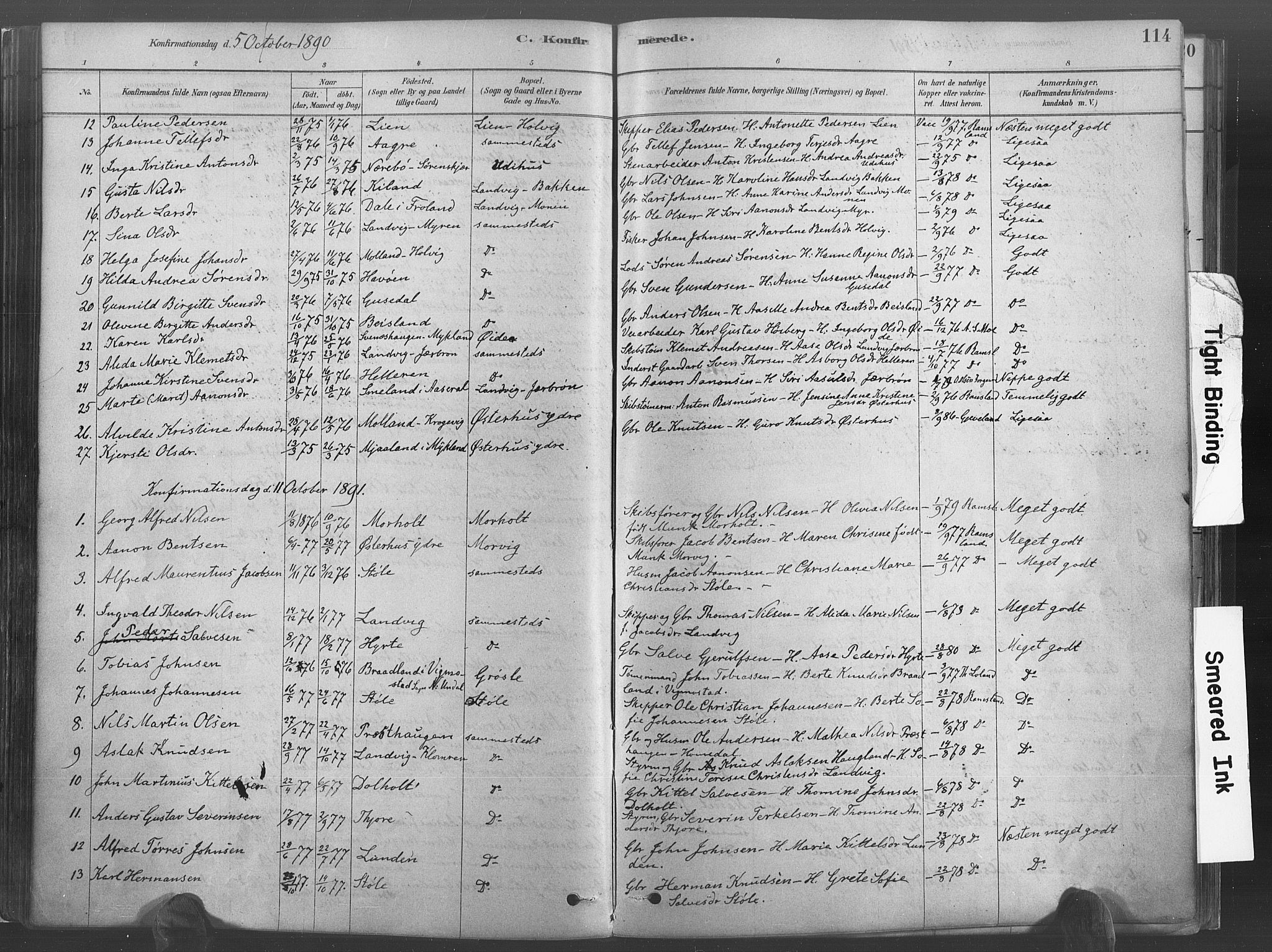 Hommedal sokneprestkontor, AV/SAK-1111-0023/F/Fa/Fab/L0006: Parish register (official) no. A 6, 1878-1897, p. 114