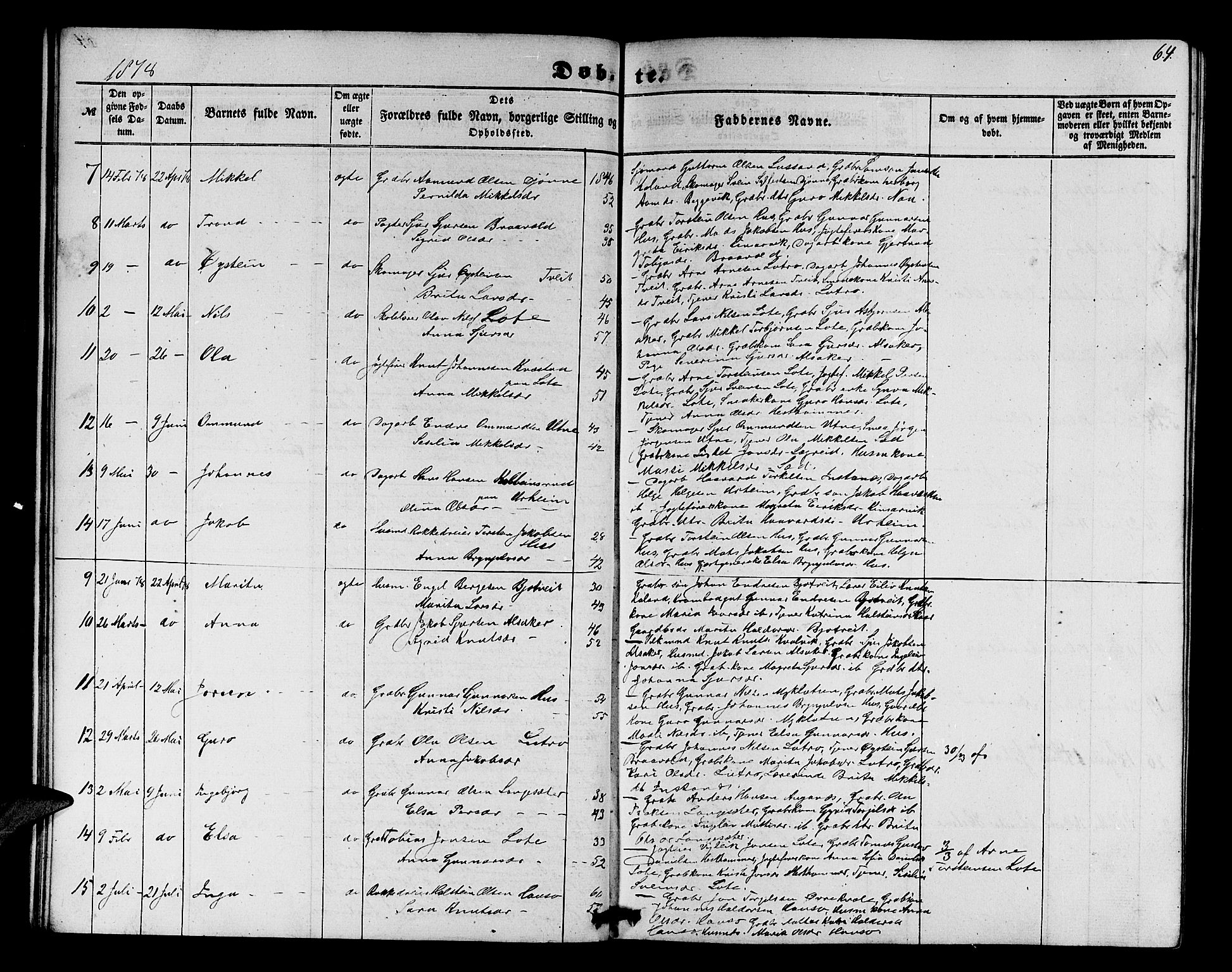 Ullensvang sokneprestembete, SAB/A-78701/H/Hab: Parish register (copy) no. E 6, 1857-1886, p. 64