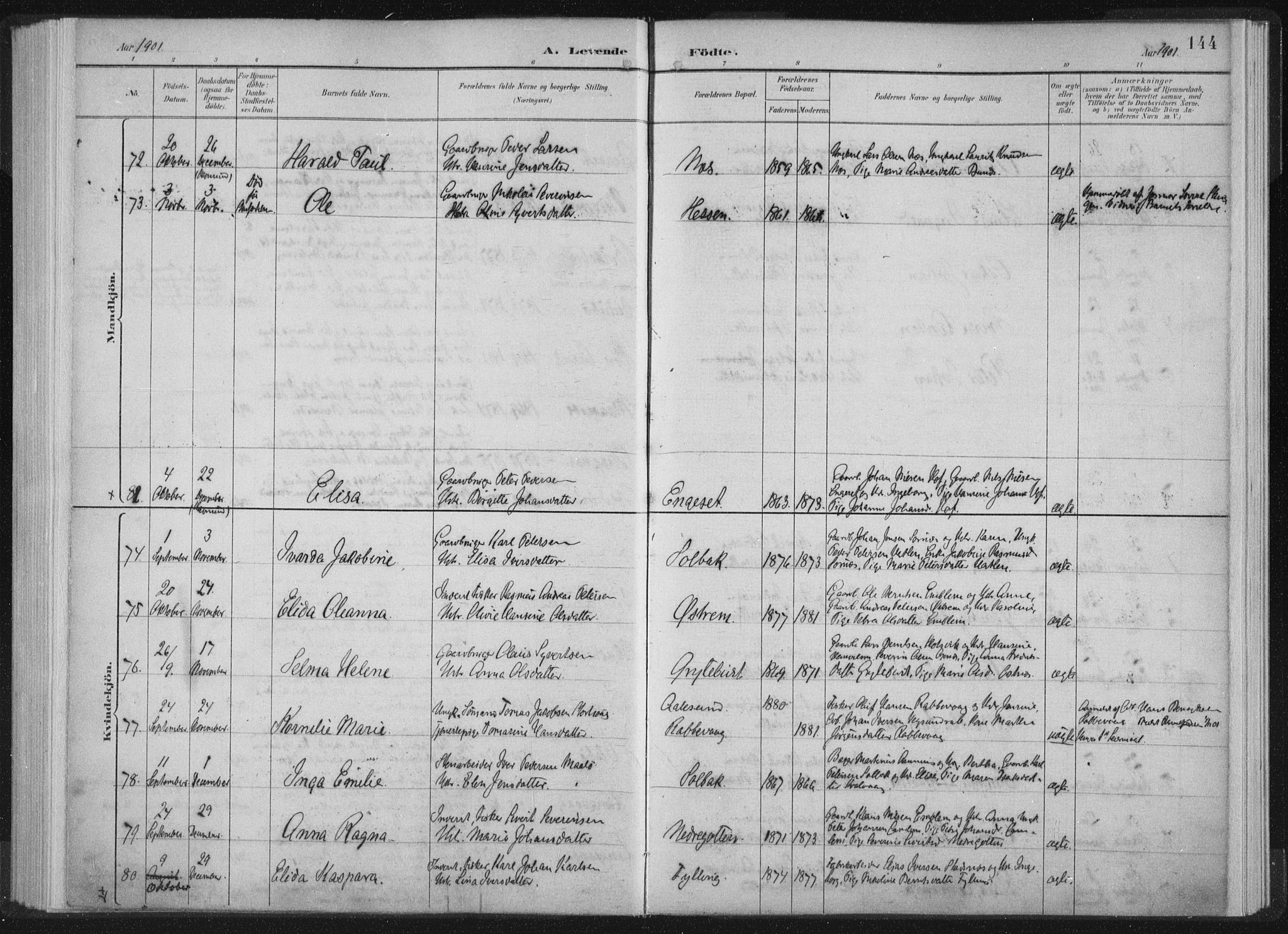 Ministerialprotokoller, klokkerbøker og fødselsregistre - Møre og Romsdal, AV/SAT-A-1454/528/L0405: Parish register (official) no. 528A14, 1891-1906, p. 144