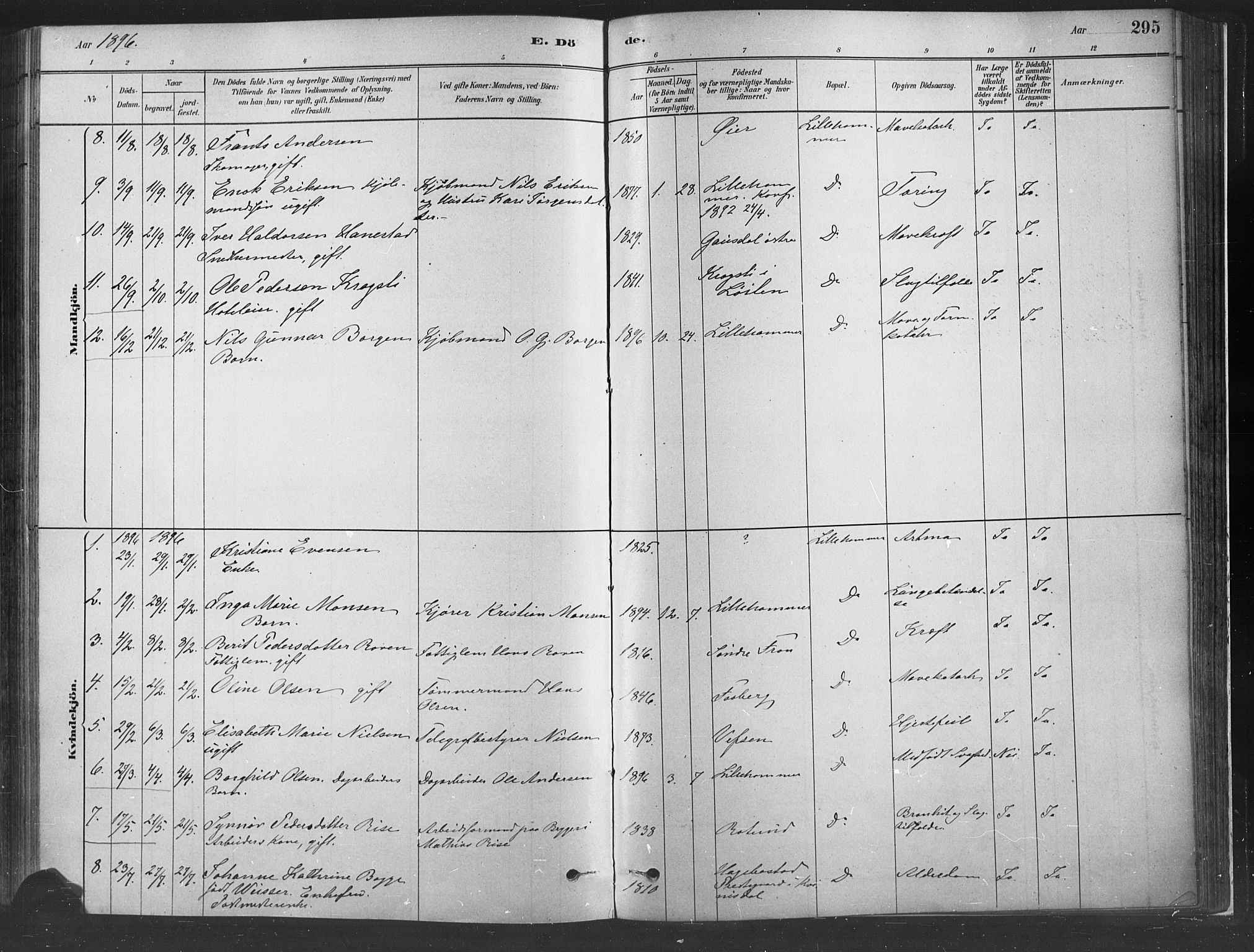 Fåberg prestekontor, SAH/PREST-086/H/Ha/Haa/L0010: Parish register (official) no. 10, 1879-1900, p. 295