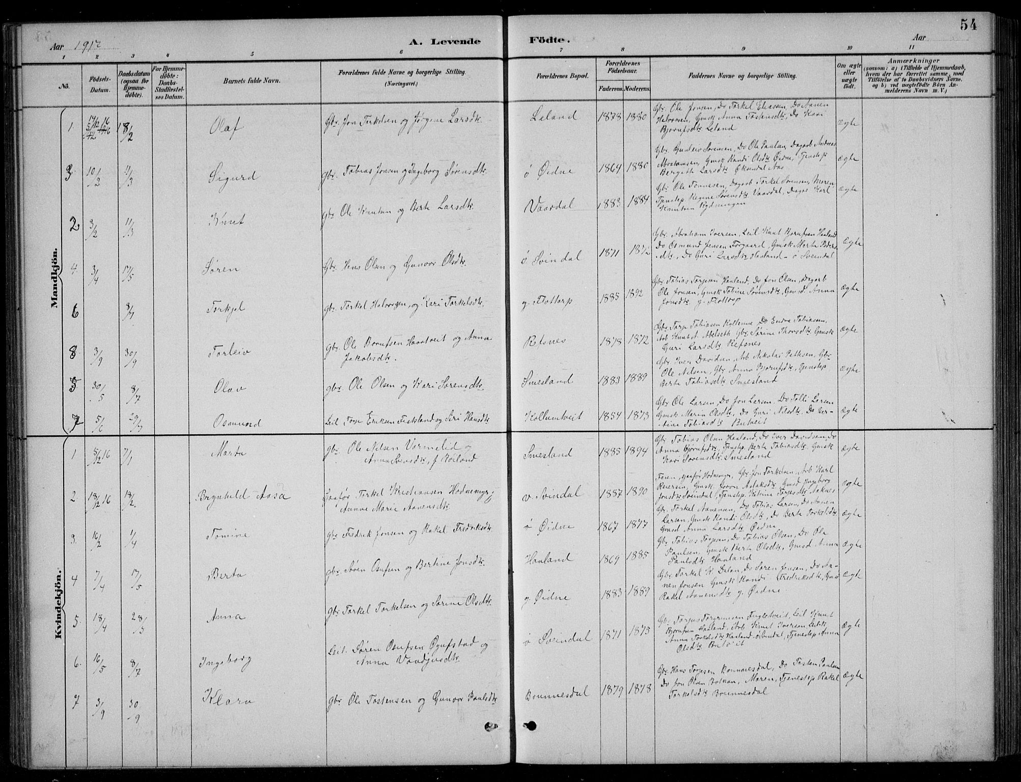 Bjelland sokneprestkontor, AV/SAK-1111-0005/F/Fb/Fbc/L0003: Parish register (copy) no. B 3, 1887-1924, p. 54