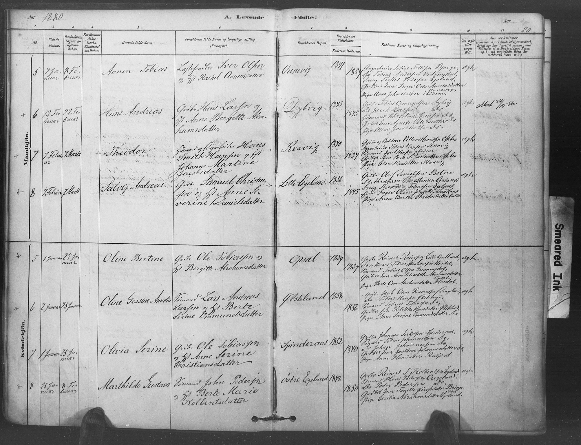 Lyngdal sokneprestkontor, AV/SAK-1111-0029/F/Fa/Fac/L0011: Parish register (official) no. A 11, 1878-1893, p. 20