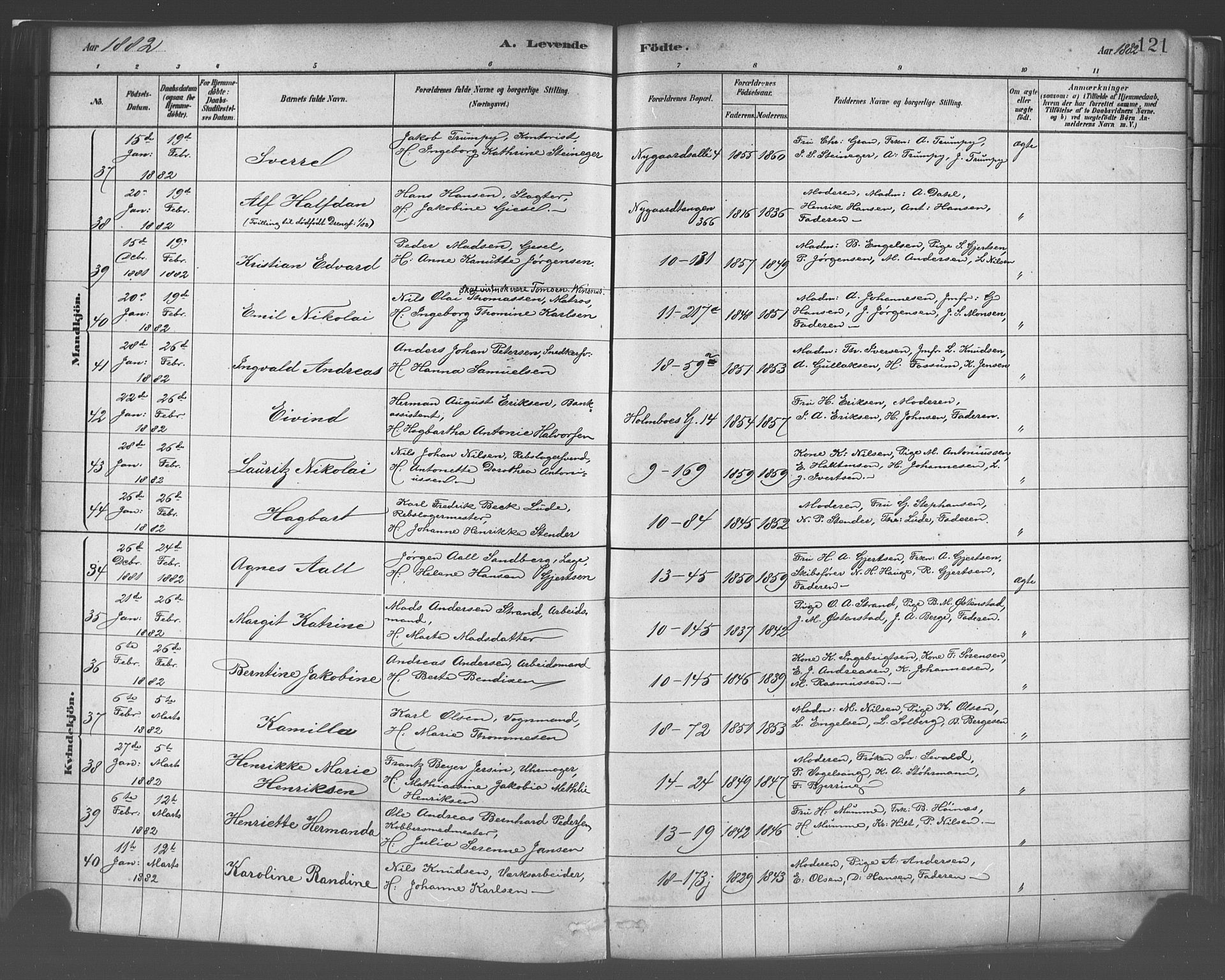 Domkirken sokneprestembete, SAB/A-74801/H/Haa/L0023: Parish register (official) no. B 6, 1879-1887, p. 121