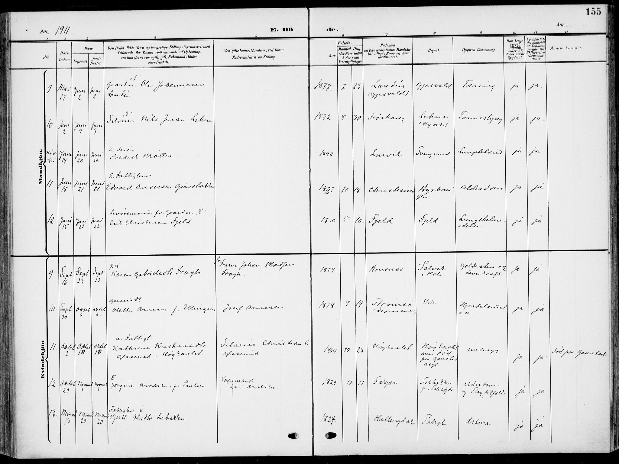 Hole kirkebøker, AV/SAKO-A-228/F/Fa/L0010: Parish register (official) no. I 10, 1907-1917, p. 155