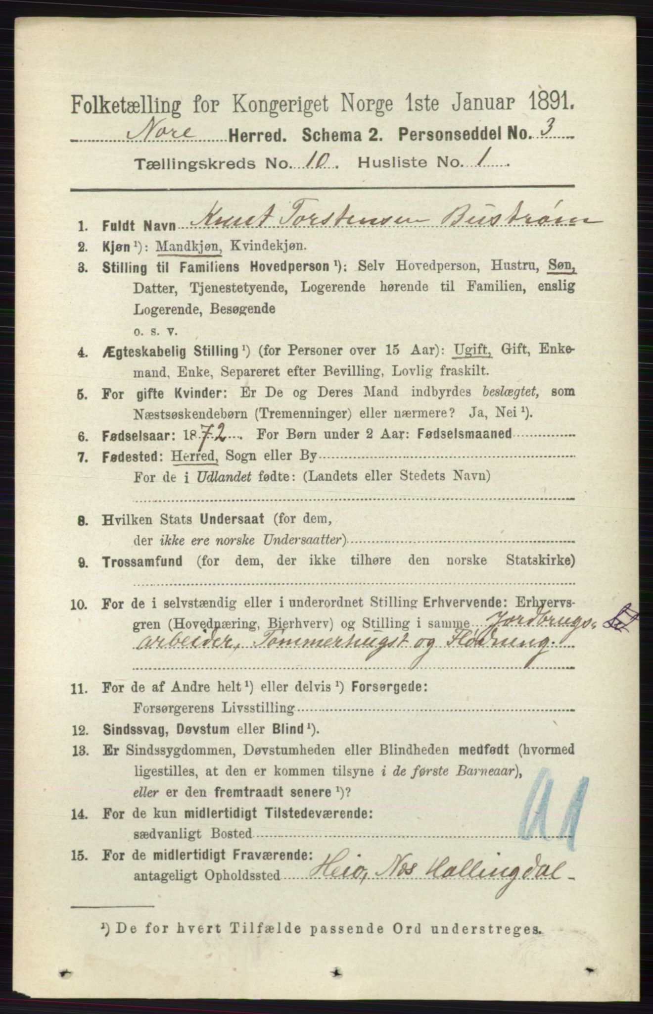 RA, 1891 census for 0633 Nore, 1891, p. 3547