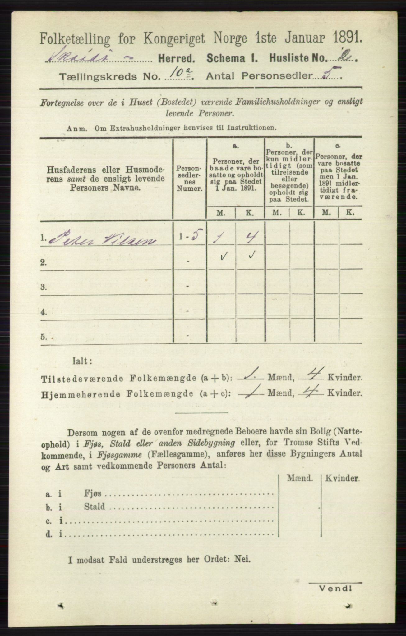 RA, 1891 census for 0815 Skåtøy, 1891, p. 4015