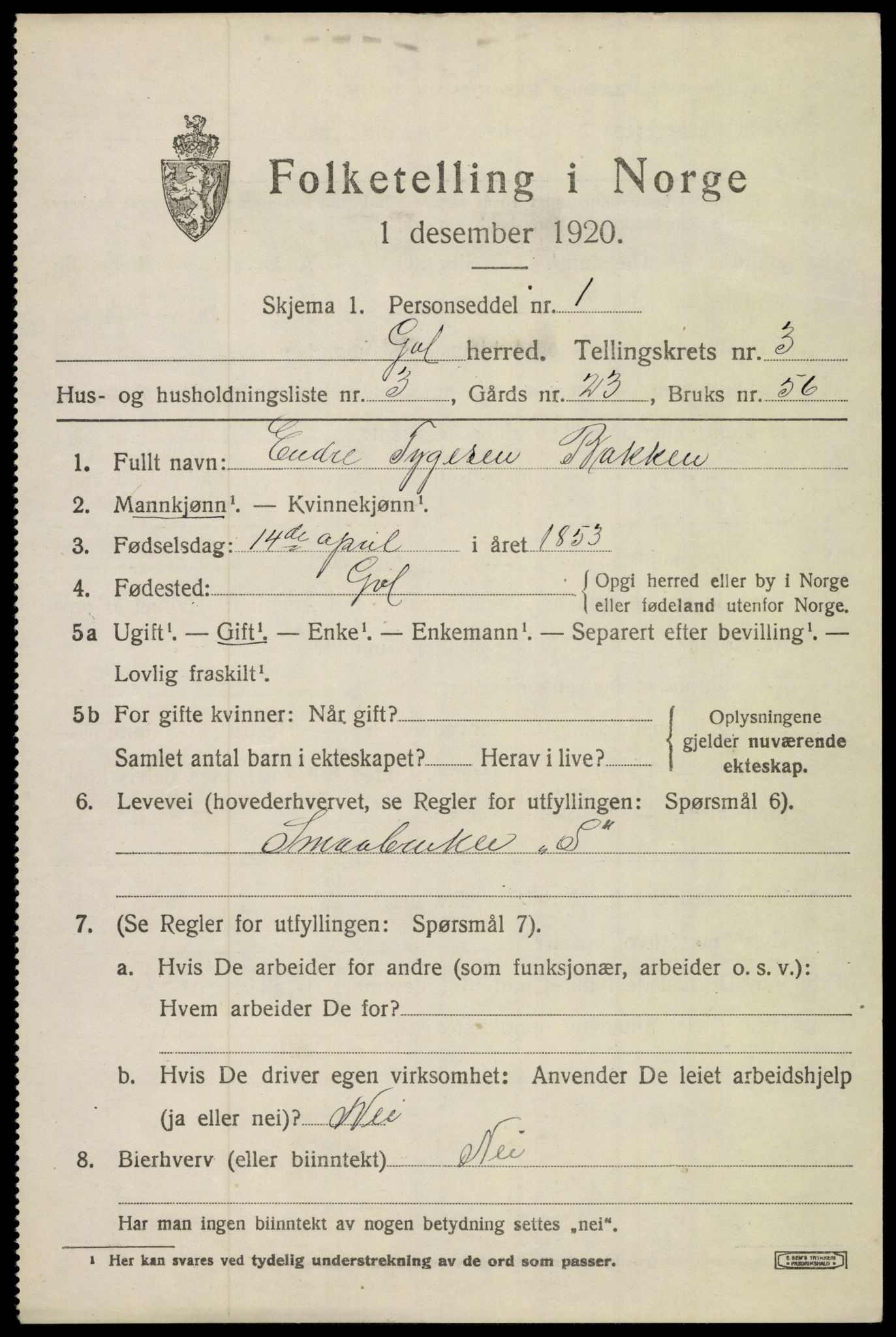 SAKO, 1920 census for Gol, 1920, p. 2210