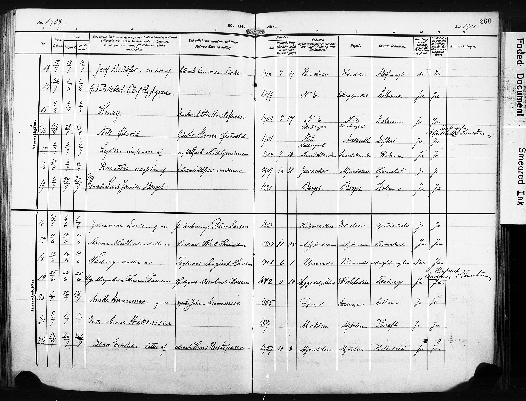 Nedre Eiker kirkebøker, AV/SAKO-A-612/F/Fa/L0006: Parish register (official) no. 6, 1906-1912, p. 260