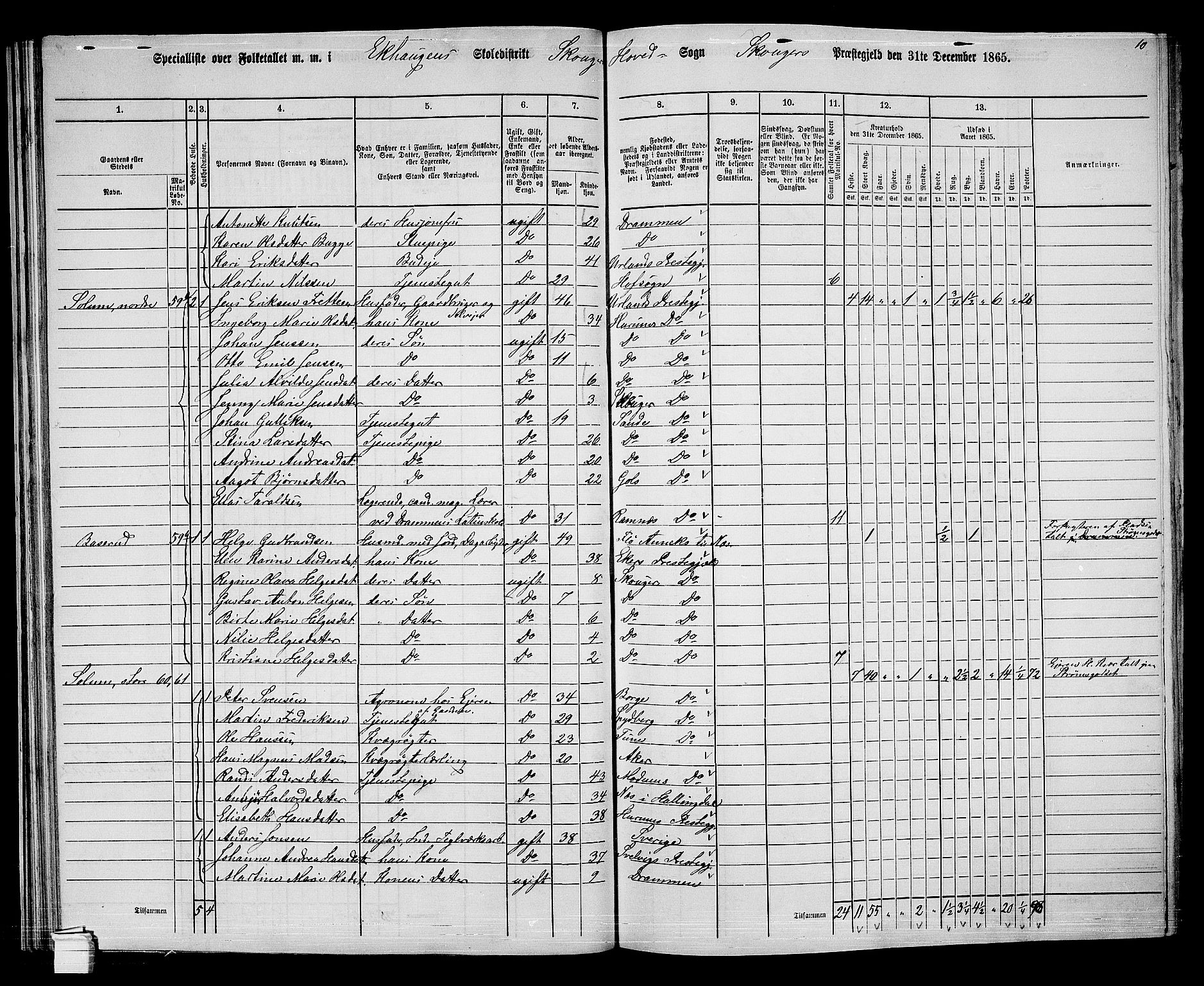 RA, 1865 census for Skoger, 1865, p. 48