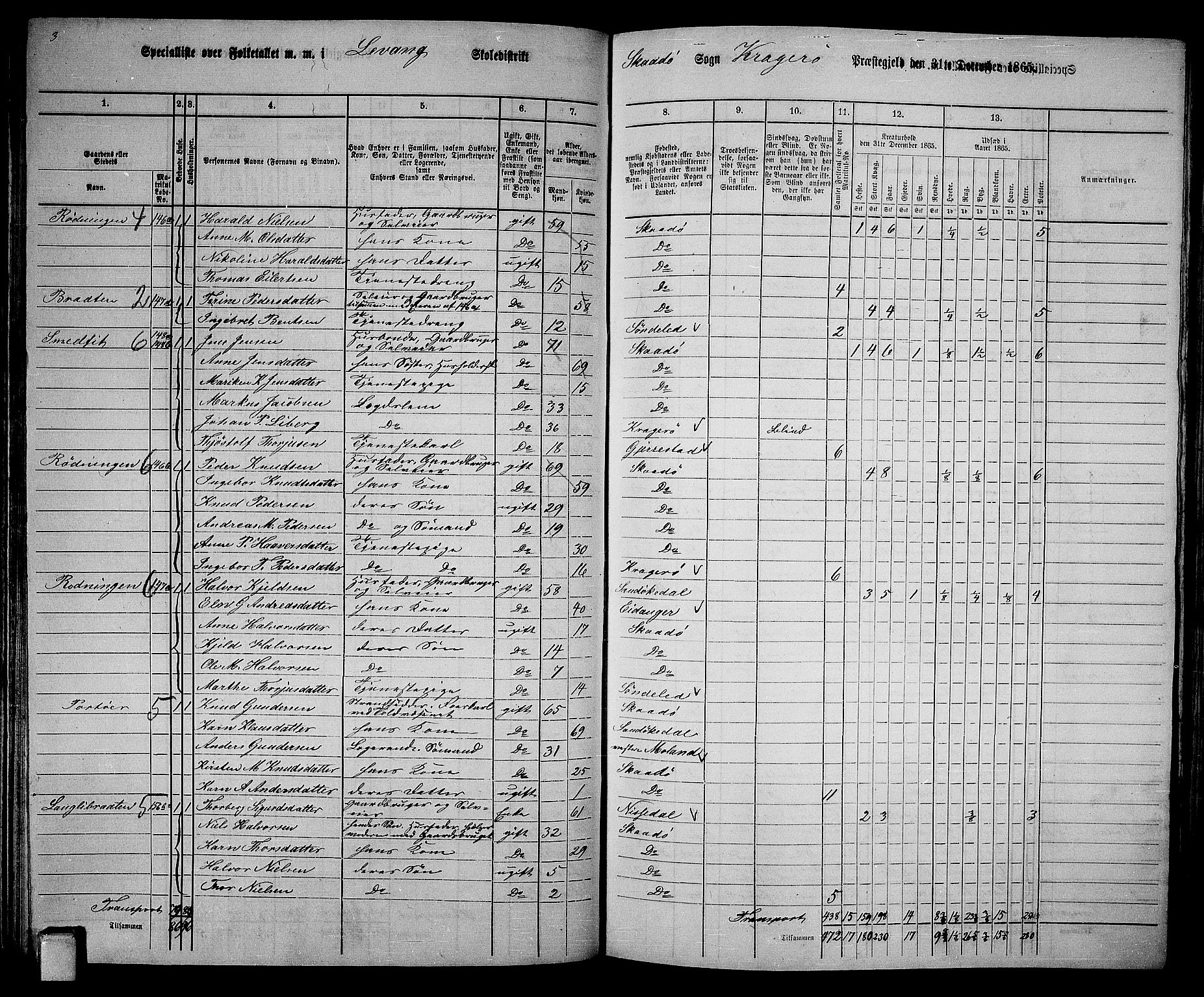 RA, 1865 census for Kragerø/Sannidal og Skåtøy, 1865, p. 105