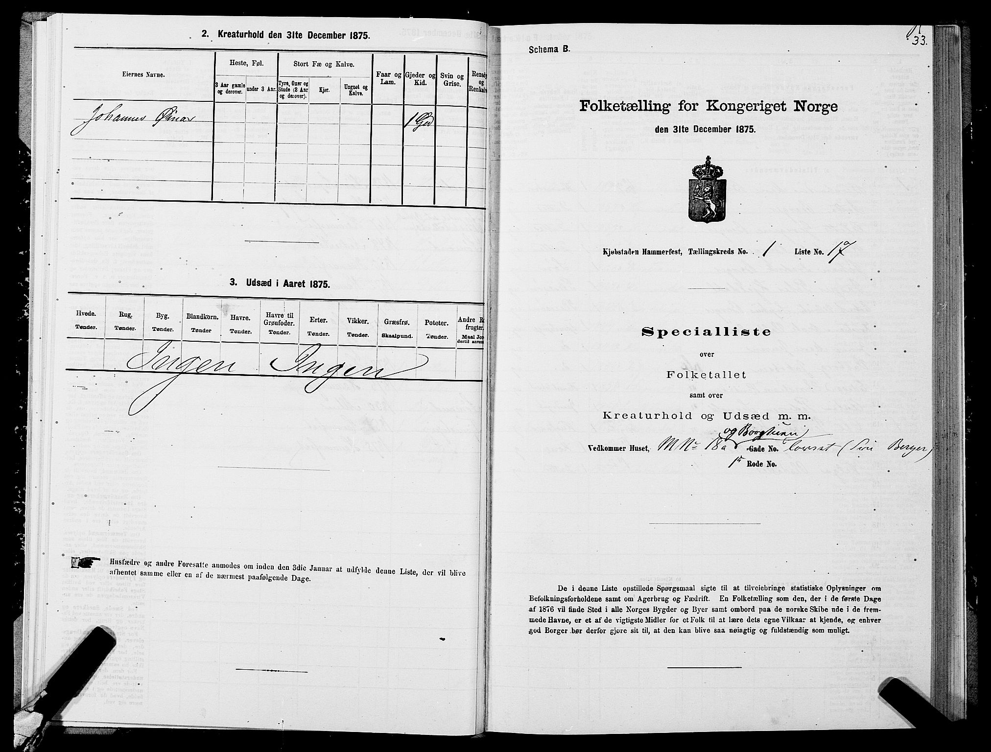 SATØ, 1875 census for 2001B Hammerfest/Hammerfest, 1875, p. 1033