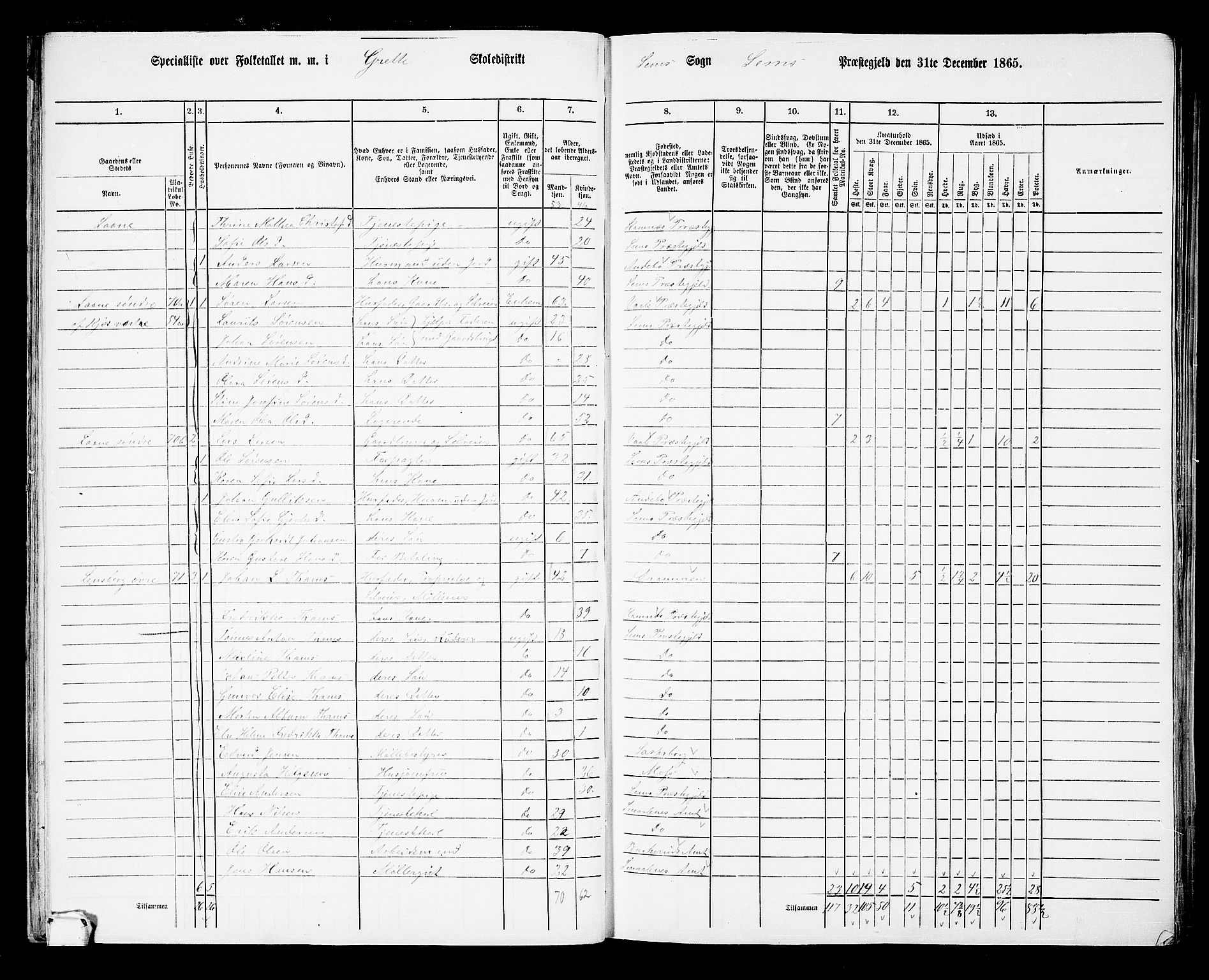 RA, 1865 census for Sem, 1865, p. 33