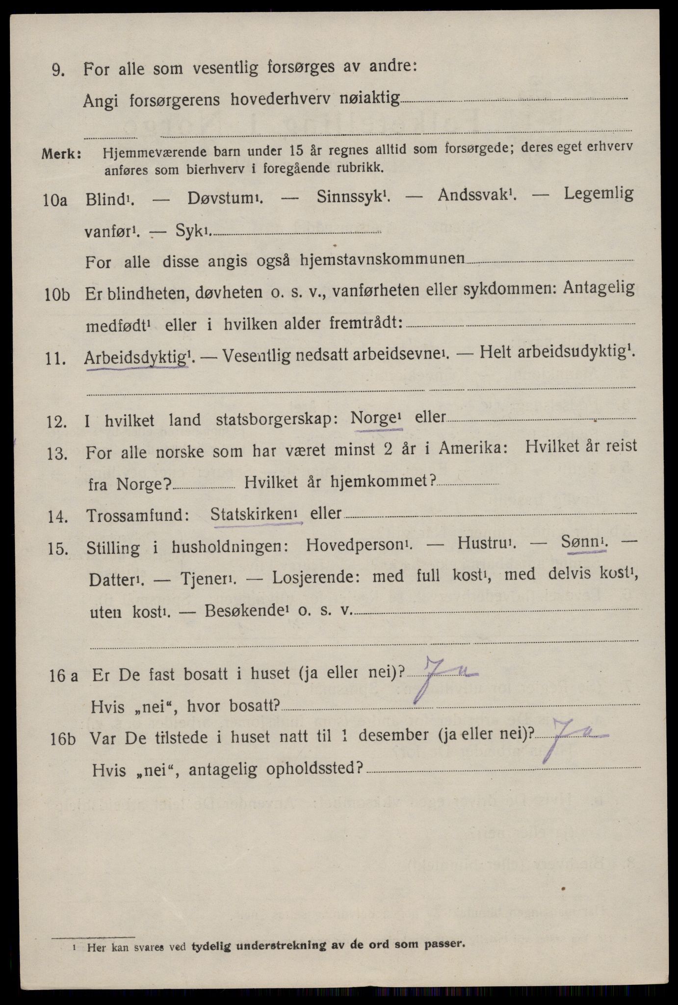 SAKO, 1920 census for Nissedal, 1920, p. 1290