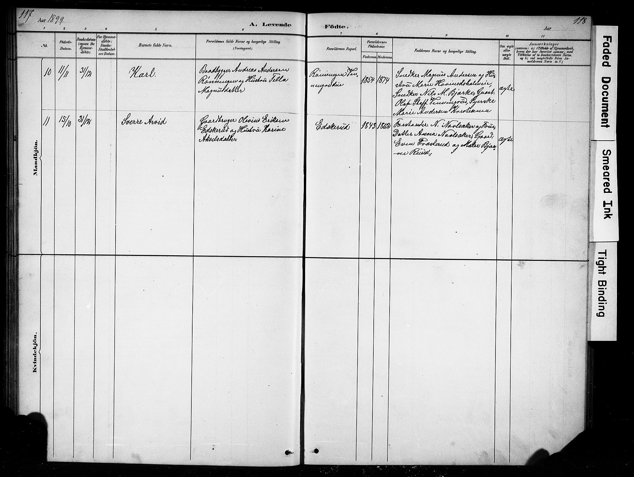 Nes prestekontor, Hedmark, SAH/PREST-020/L/La/L0016: Parish register (copy) no. 16, 1883-1900, p. 117-118