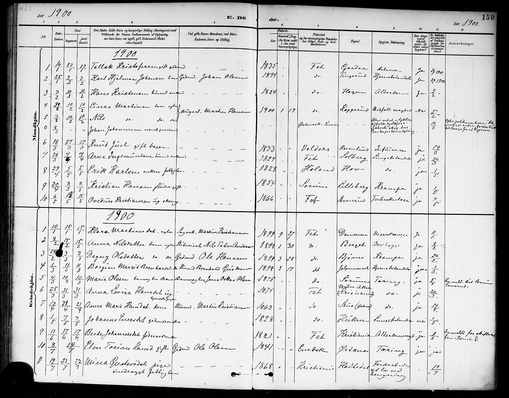 Fet prestekontor Kirkebøker, SAO/A-10370a/F/Fa/L0015: Parish register (official) no. I 15, 1892-1904, p. 159