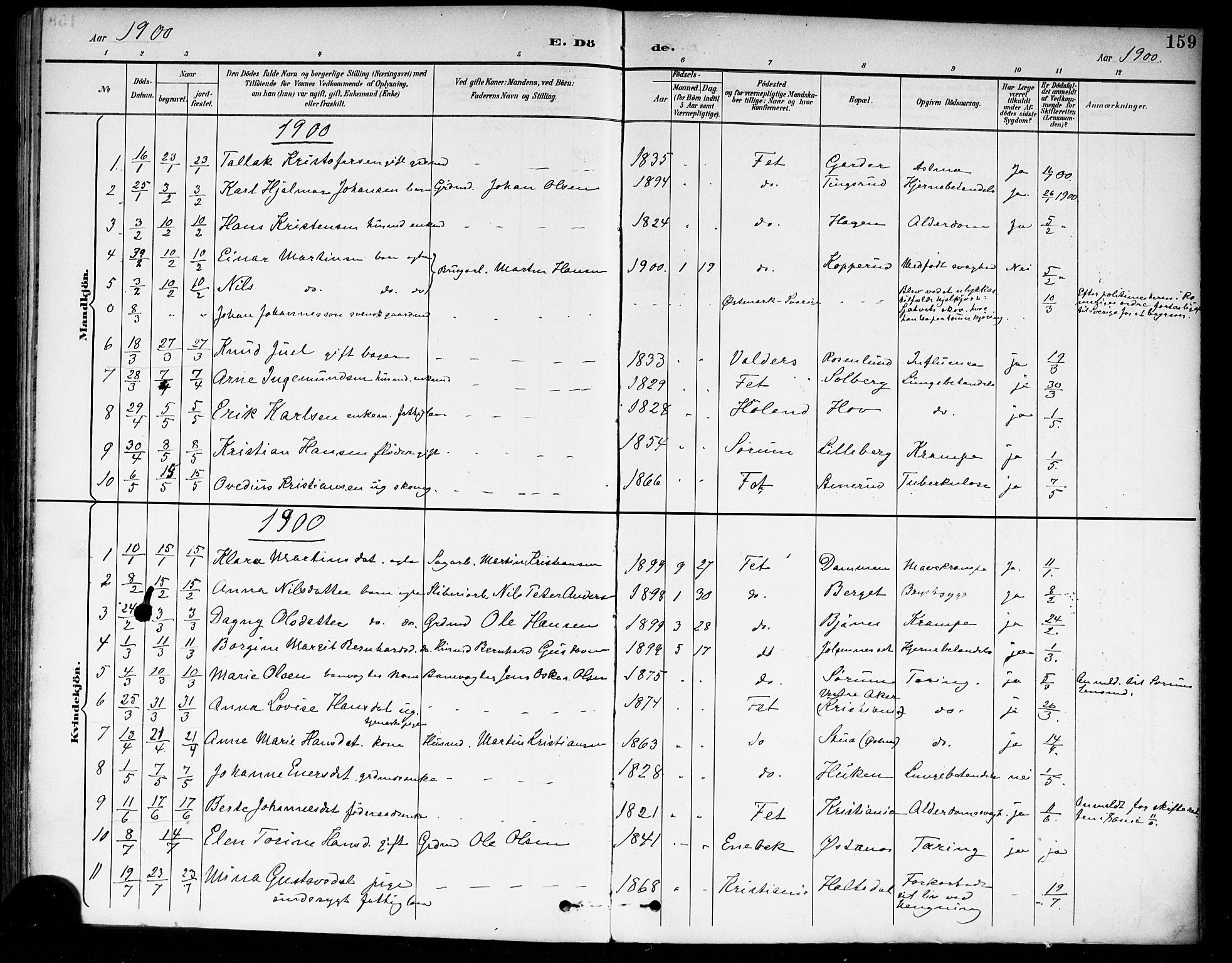 Fet prestekontor Kirkebøker, AV/SAO-A-10370a/F/Fa/L0015: Parish register (official) no. I 15, 1892-1904, p. 159