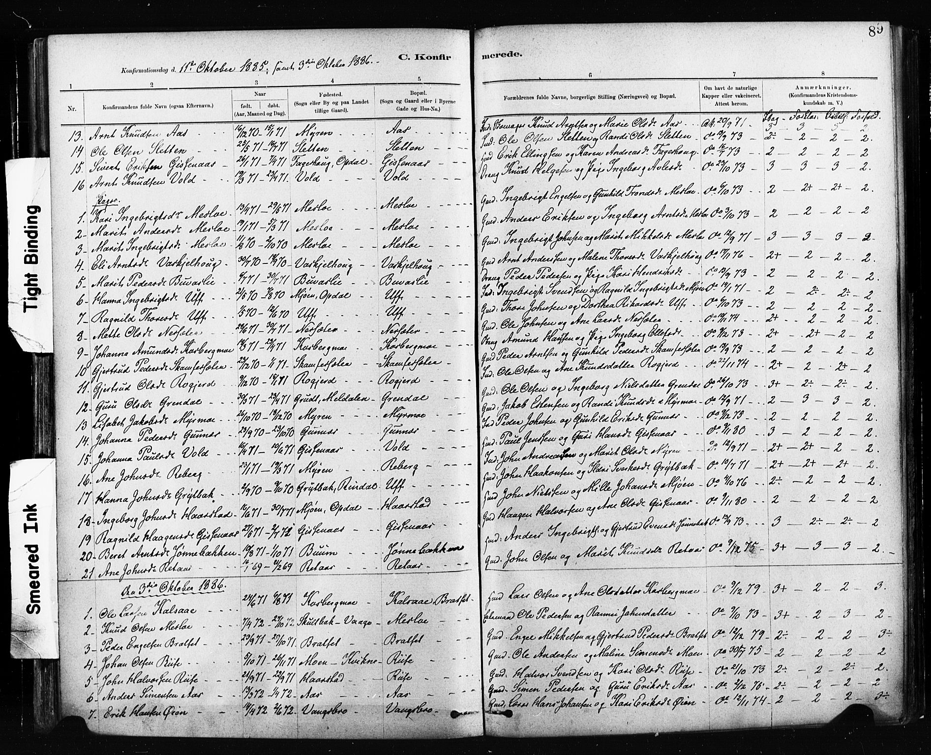 Ministerialprotokoller, klokkerbøker og fødselsregistre - Sør-Trøndelag, SAT/A-1456/674/L0871: Parish register (official) no. 674A03, 1880-1896, p. 89