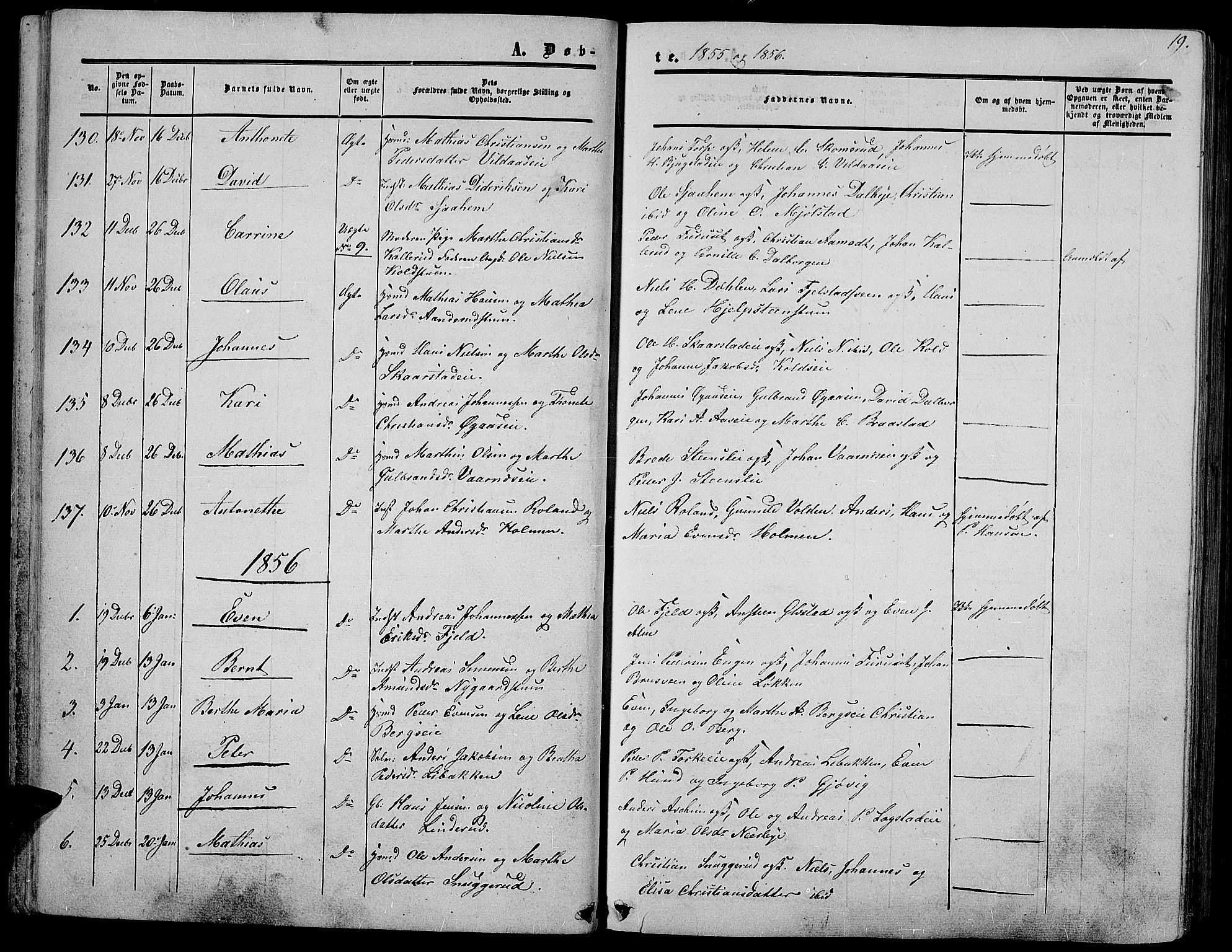 Vardal prestekontor, SAH/PREST-100/H/Ha/Hab/L0005: Parish register (copy) no. 5, 1854-1868, p. 19
