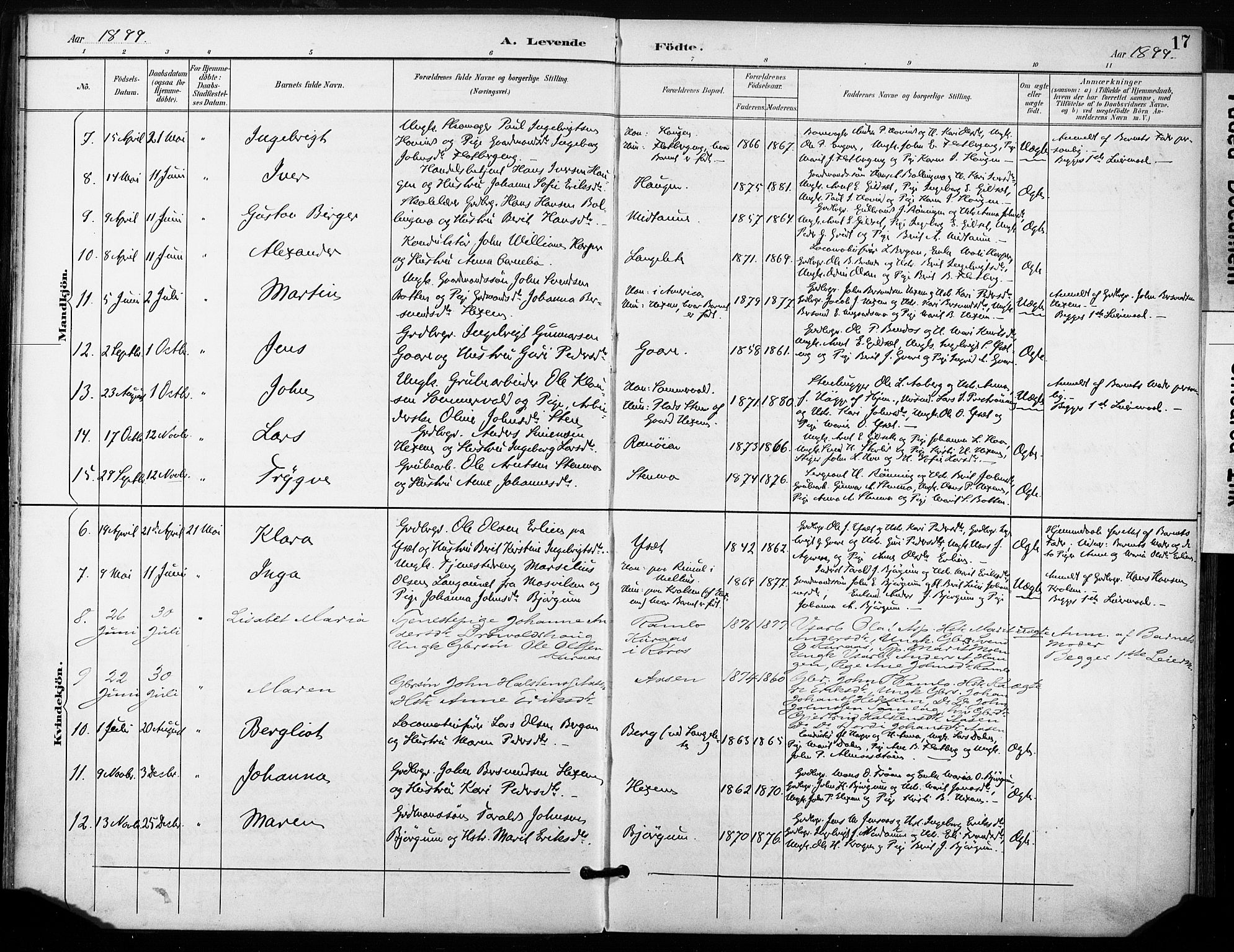Ministerialprotokoller, klokkerbøker og fødselsregistre - Sør-Trøndelag, SAT/A-1456/685/L0973: Parish register (official) no. 685A10, 1891-1907, p. 17