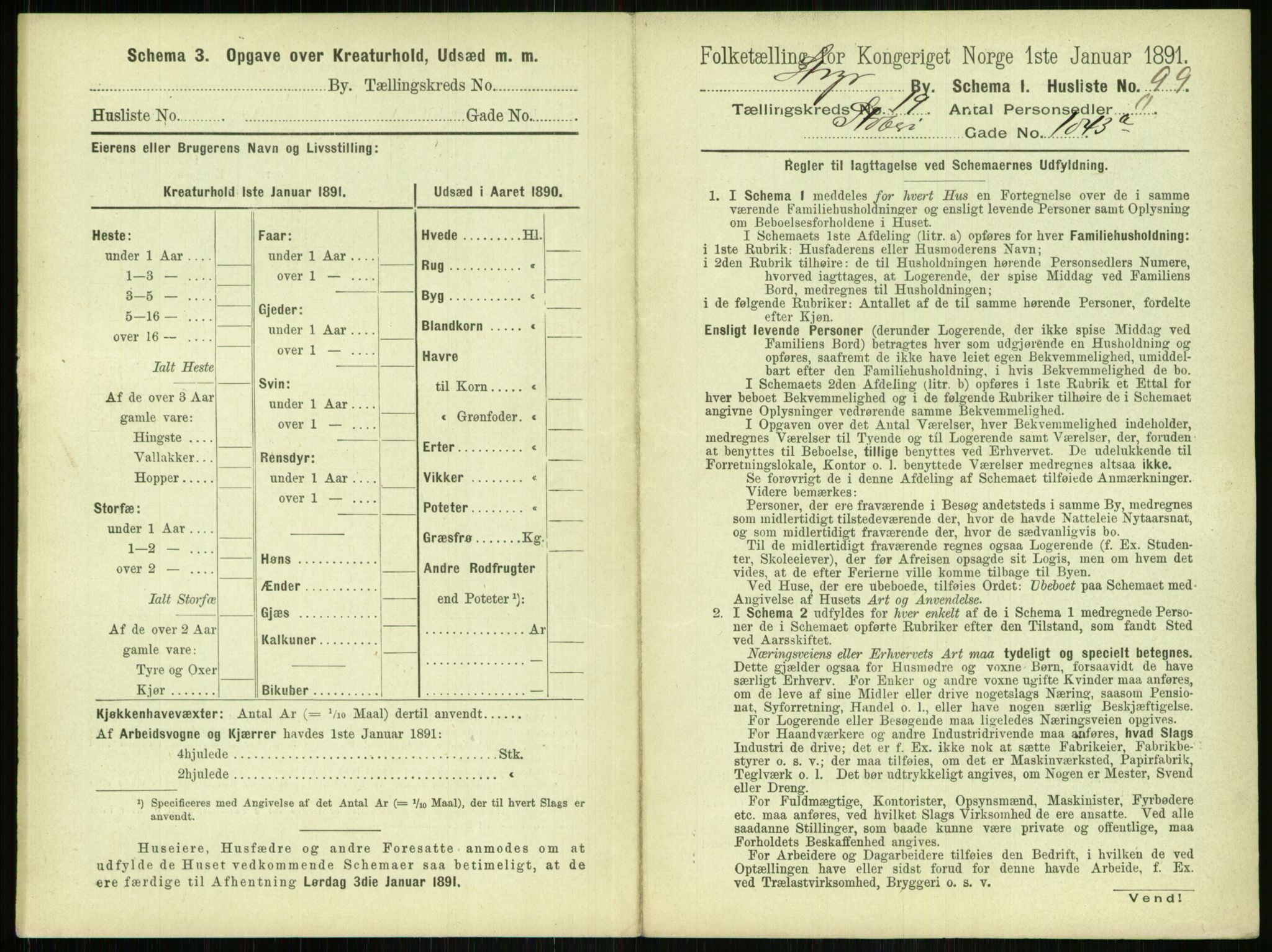 RA, 1891 census for 1103 Stavanger, 1891, p. 3785