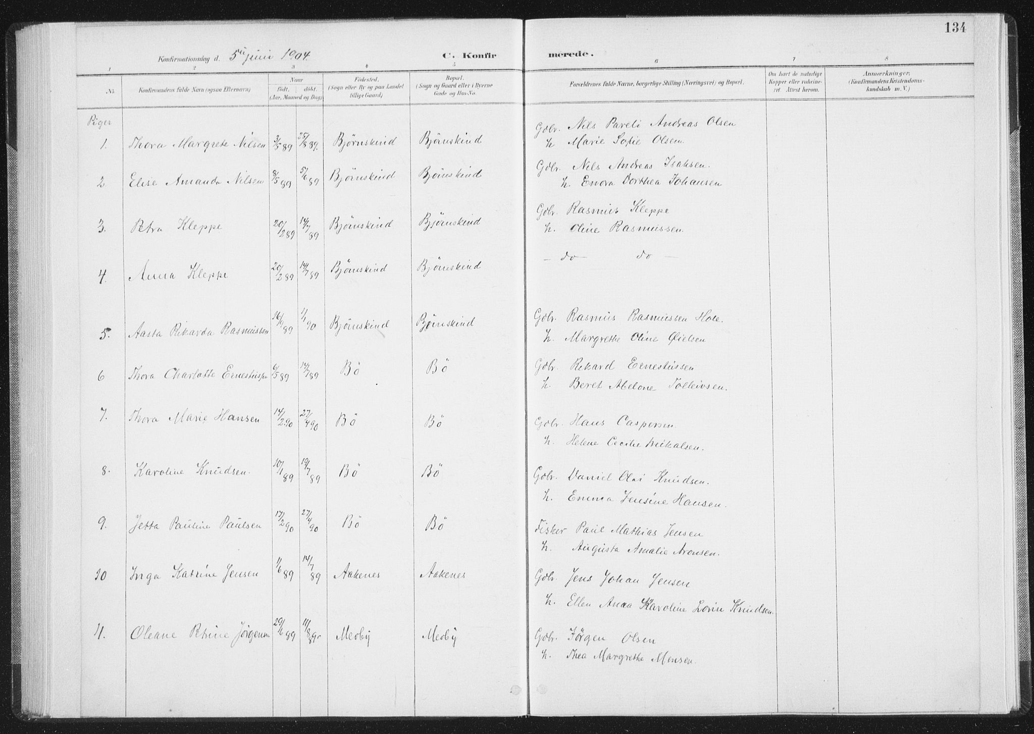 Ministerialprotokoller, klokkerbøker og fødselsregistre - Nordland, AV/SAT-A-1459/898/L1422: Parish register (official) no. 898A02, 1887-1908, p. 134