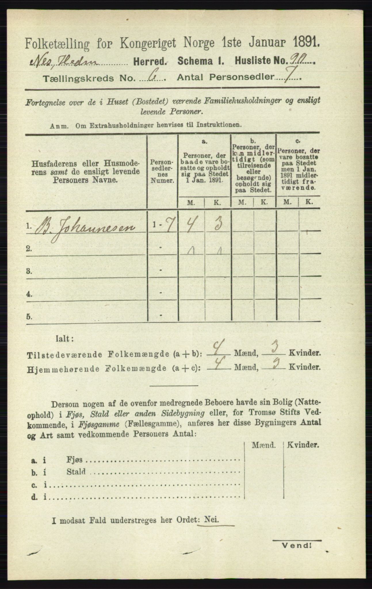 RA, 1891 census for 0411 Nes, 1891, p. 3258