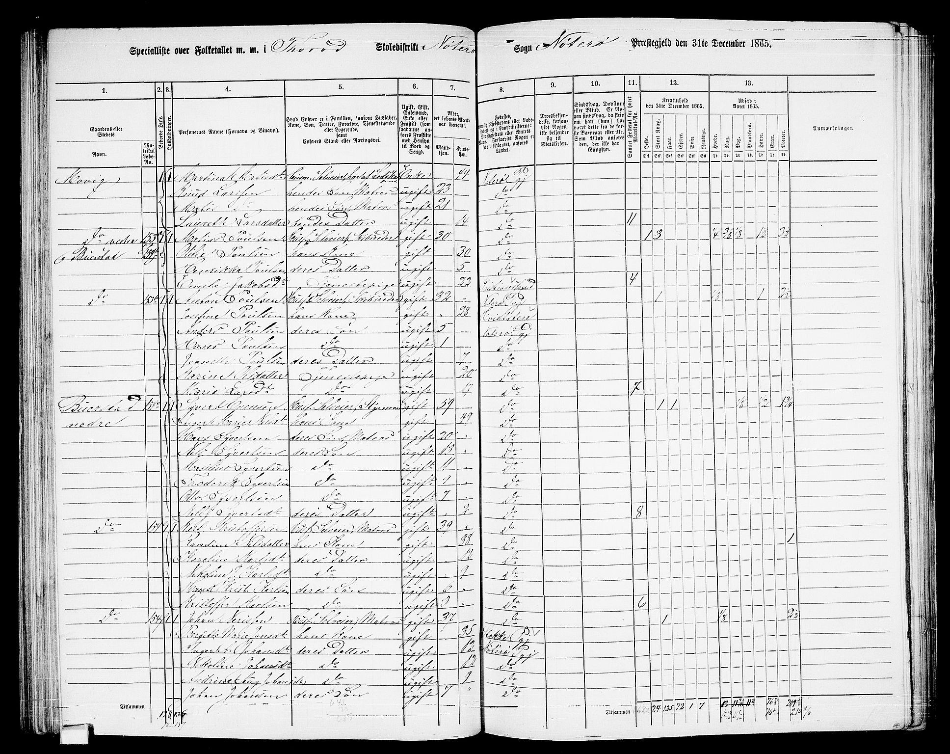 RA, 1865 census for Nøtterøy, 1865, p. 114