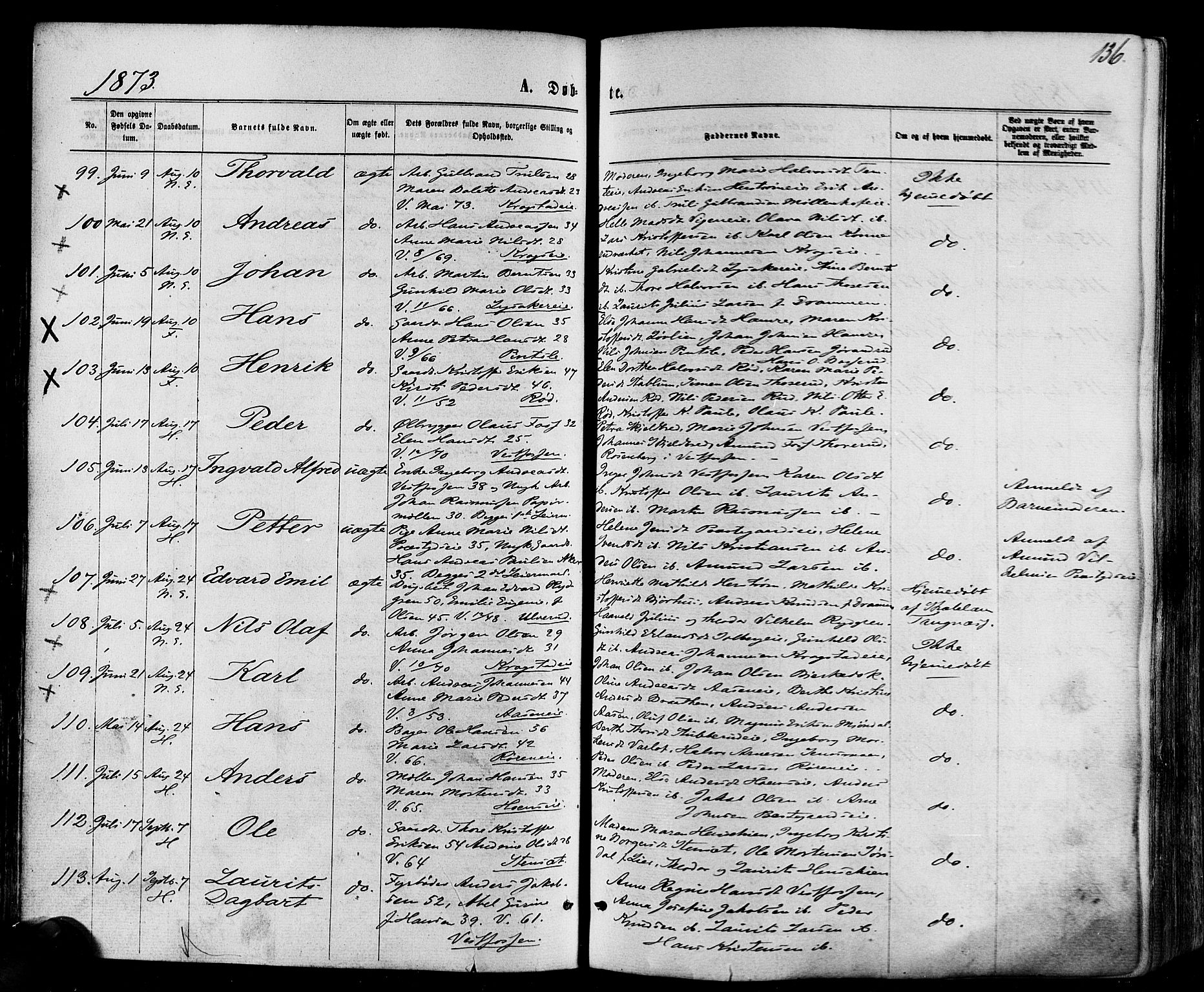 Eiker kirkebøker, SAKO/A-4/F/Fa/L0017: Parish register (official) no. I 17, 1869-1877, p. 136
