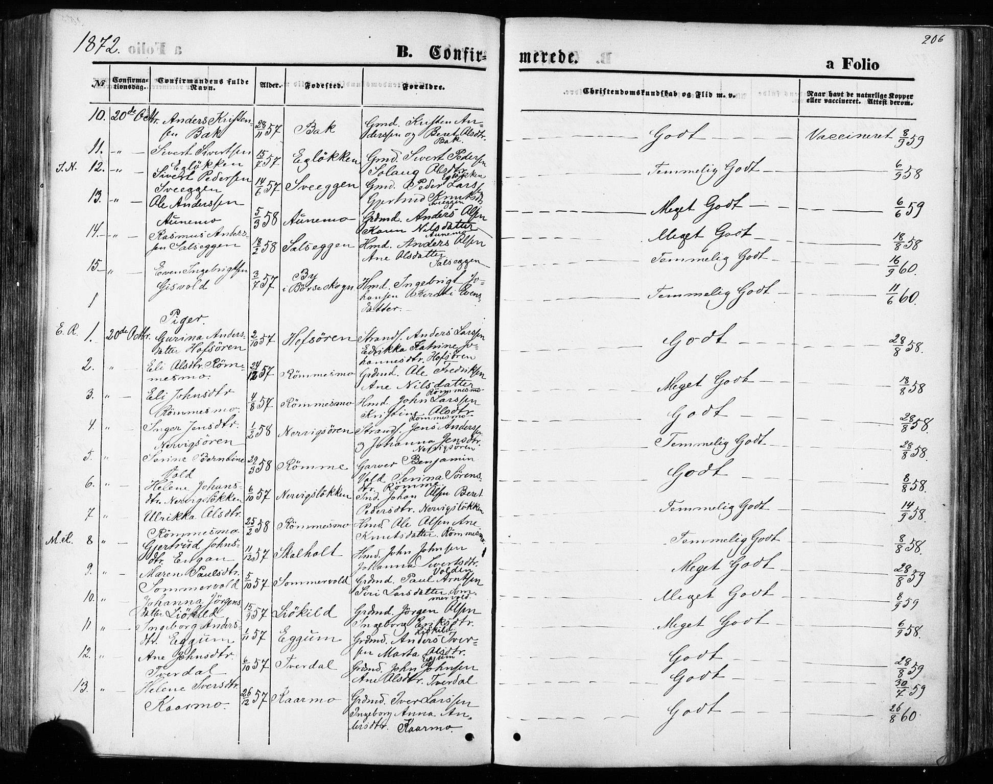 Ministerialprotokoller, klokkerbøker og fødselsregistre - Sør-Trøndelag, SAT/A-1456/668/L0807: Parish register (official) no. 668A07, 1870-1880, p. 206