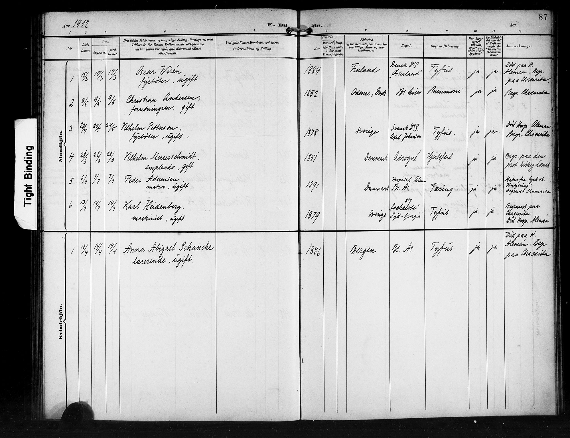 Den norske sjømannsmisjon i utlandet/Syd-Amerika (Buenos Aires m.fl.), SAB/SAB/PA-0118/H/Ha/L0002: Parish register (official) no. A 2, 1899-1919, p. 87