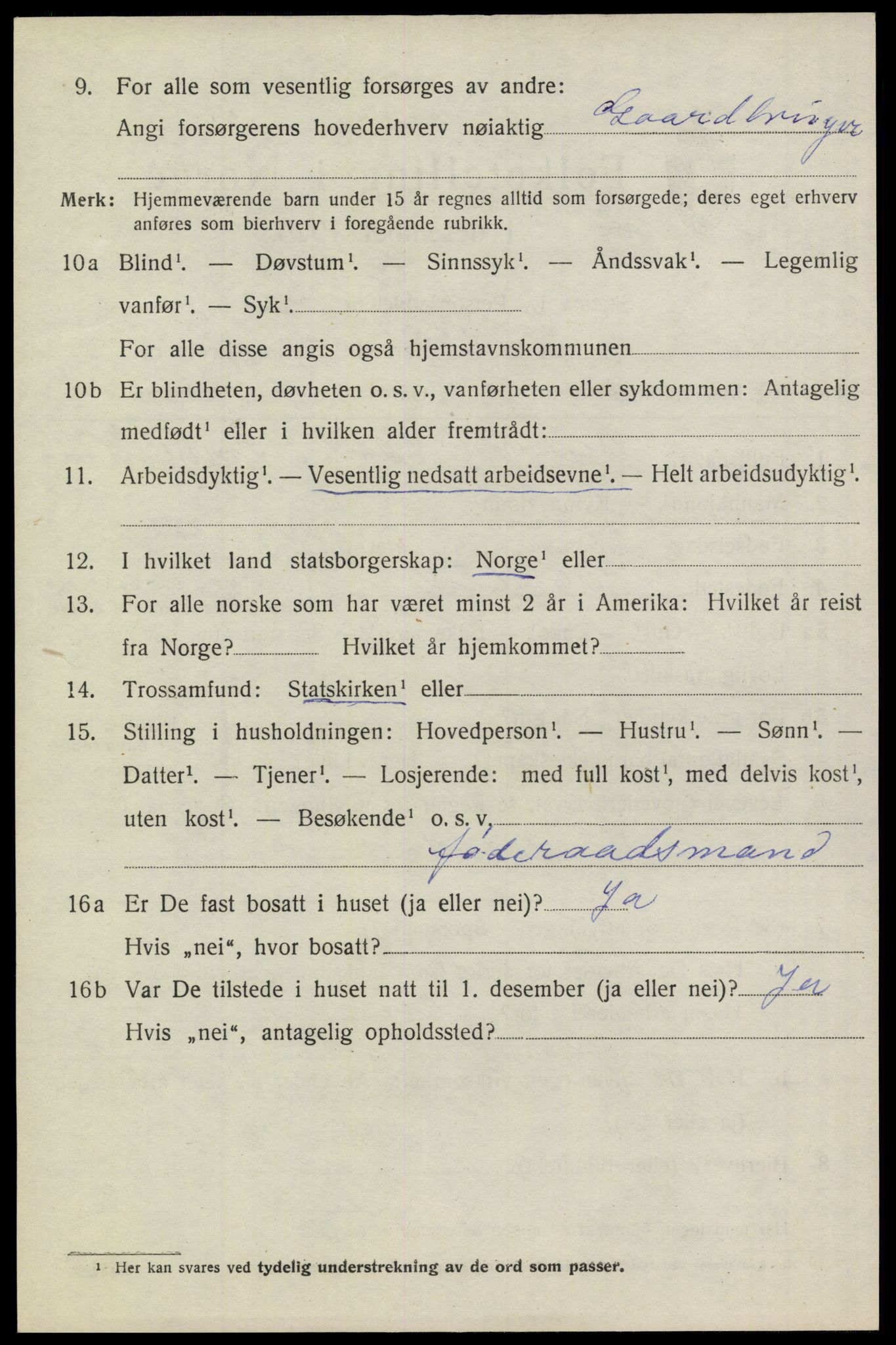 SAKO, 1920 census for Heddal, 1920, p. 5305