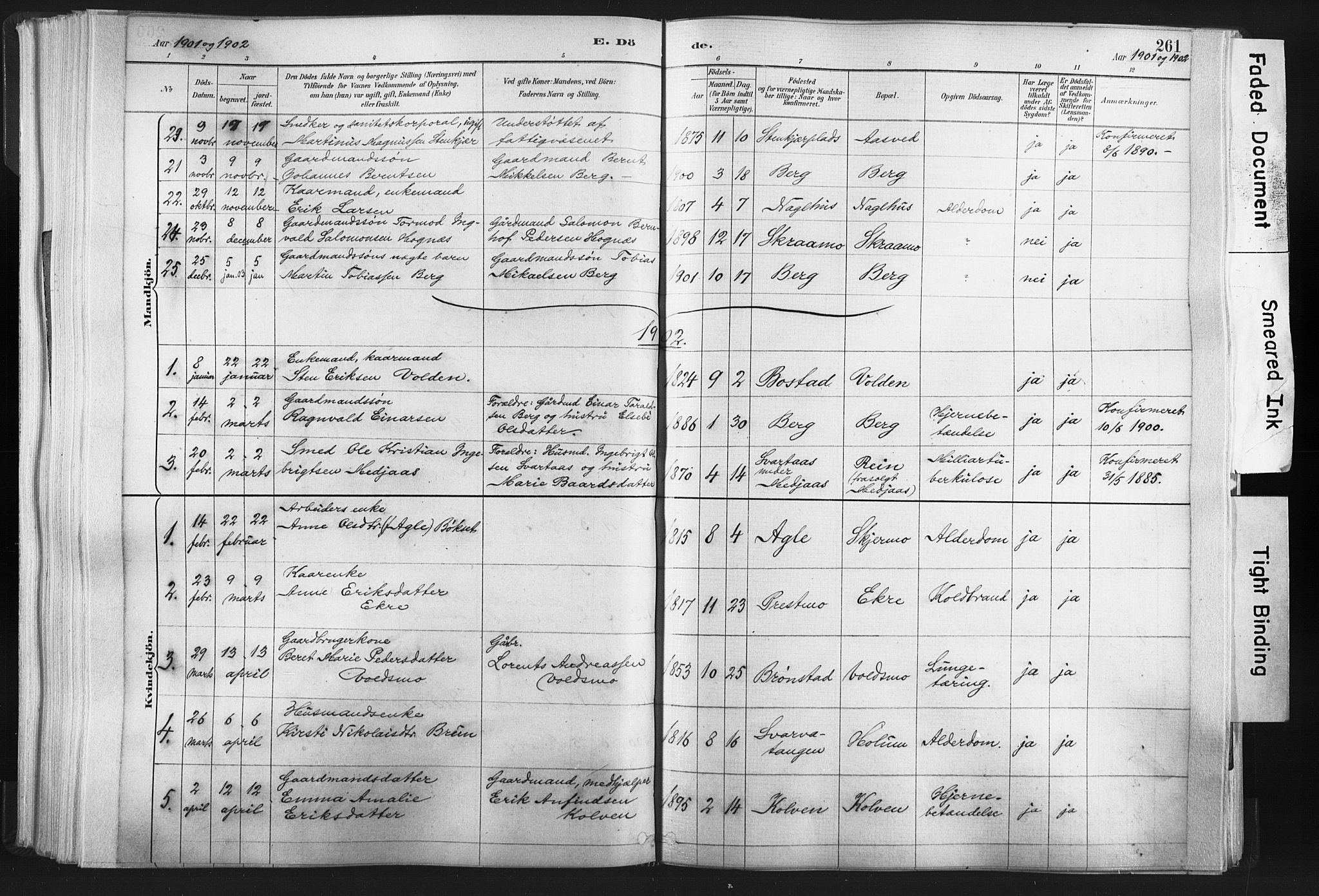 Ministerialprotokoller, klokkerbøker og fødselsregistre - Nord-Trøndelag, SAT/A-1458/749/L0474: Parish register (official) no. 749A08, 1887-1903, p. 261