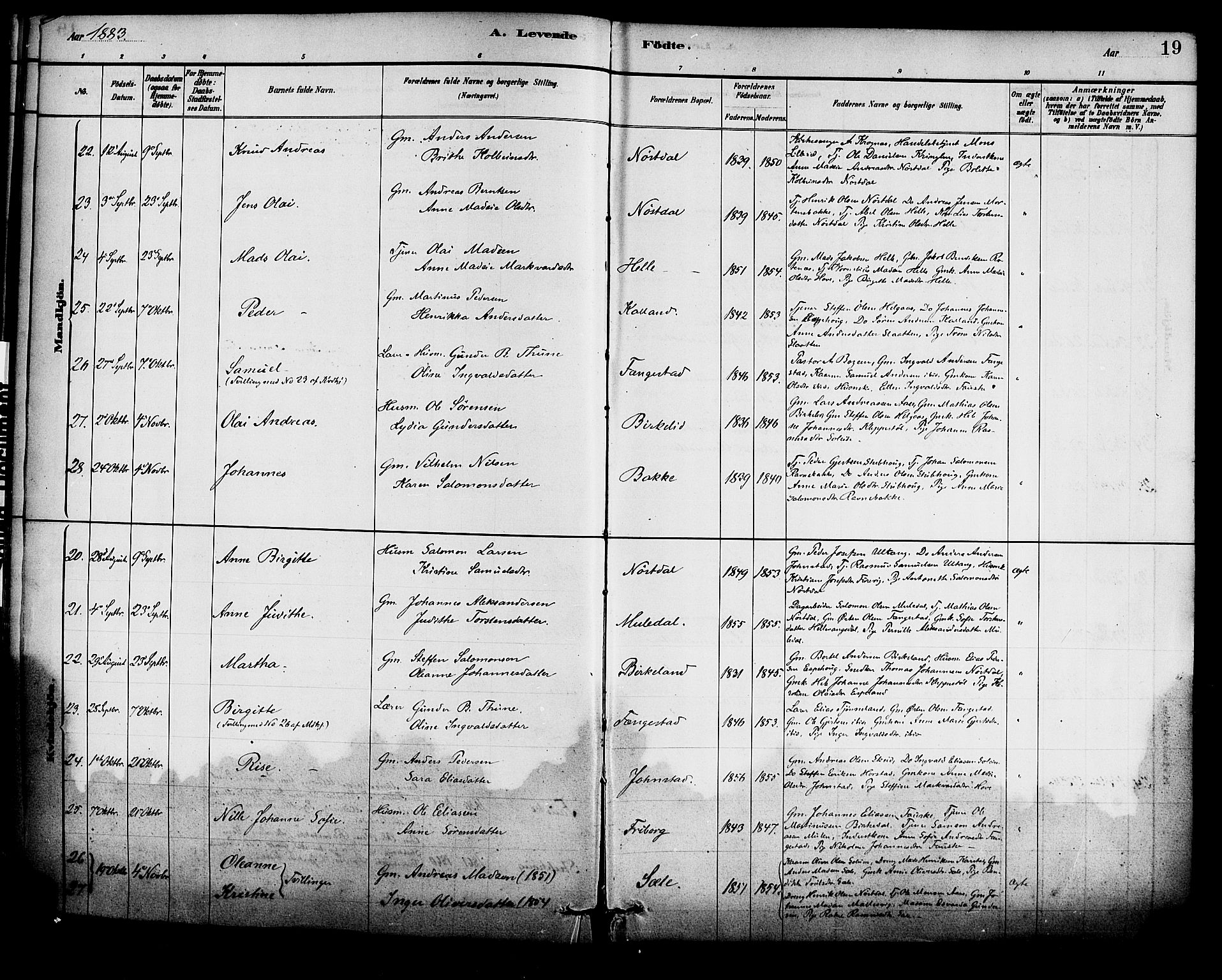 Førde sokneprestembete, SAB/A-79901/H/Haa/Haad/L0001: Parish register (official) no. D 1, 1881-1898, p. 19