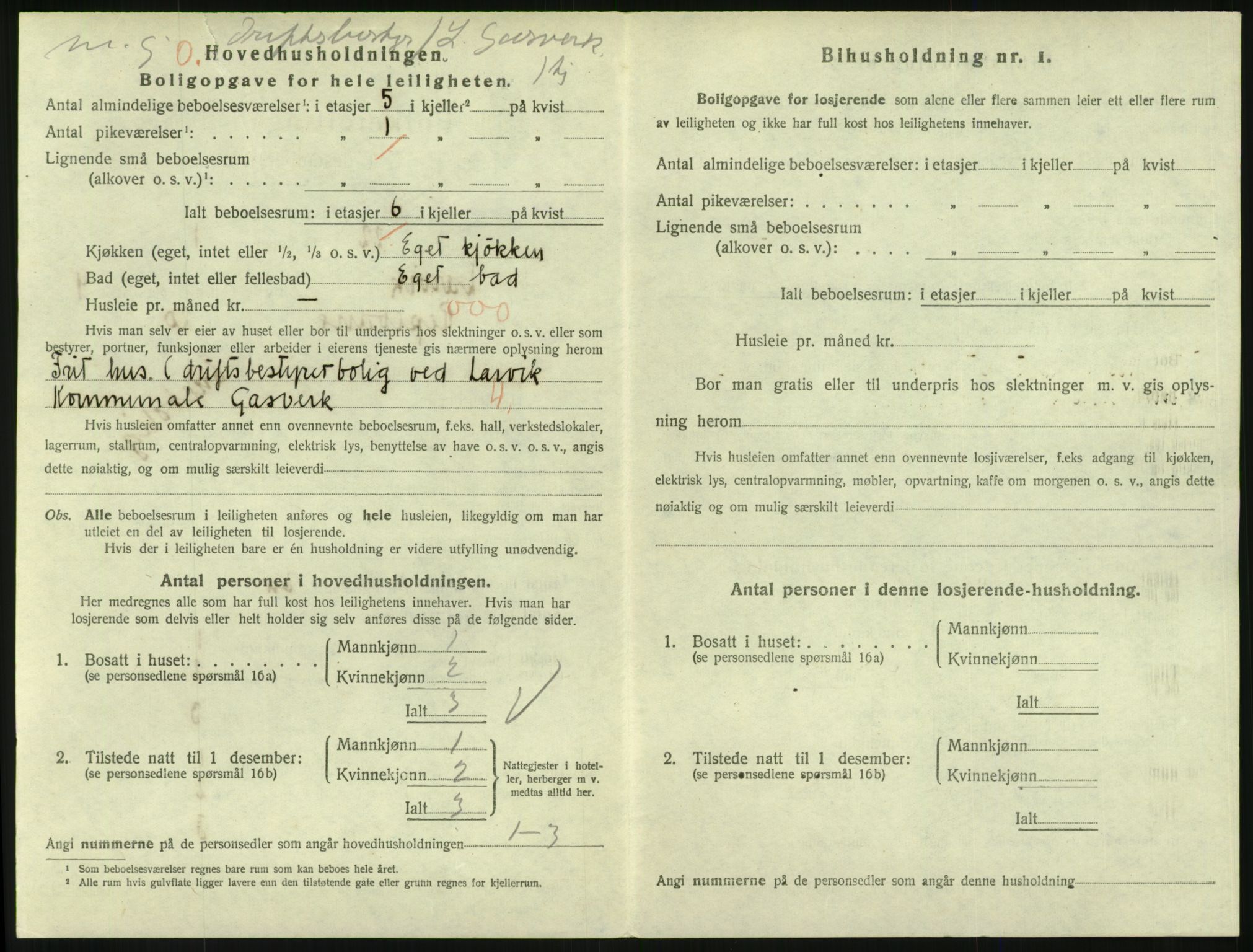 SAKO, 1920 census for Larvik, 1920, p. 7075