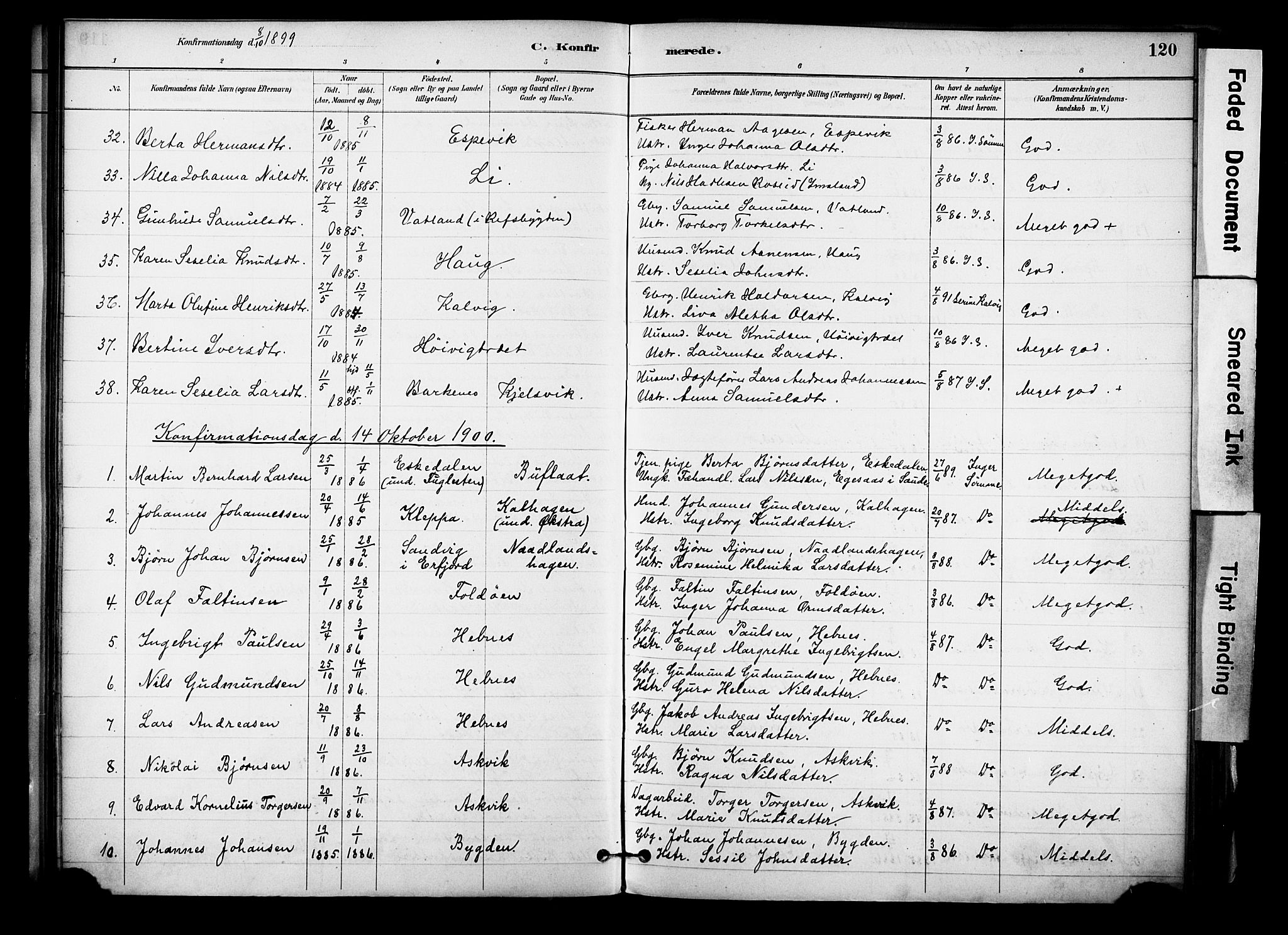Jelsa sokneprestkontor, SAST/A-101842/01/IV: Parish register (official) no. A 10, 1884-1906, p. 120