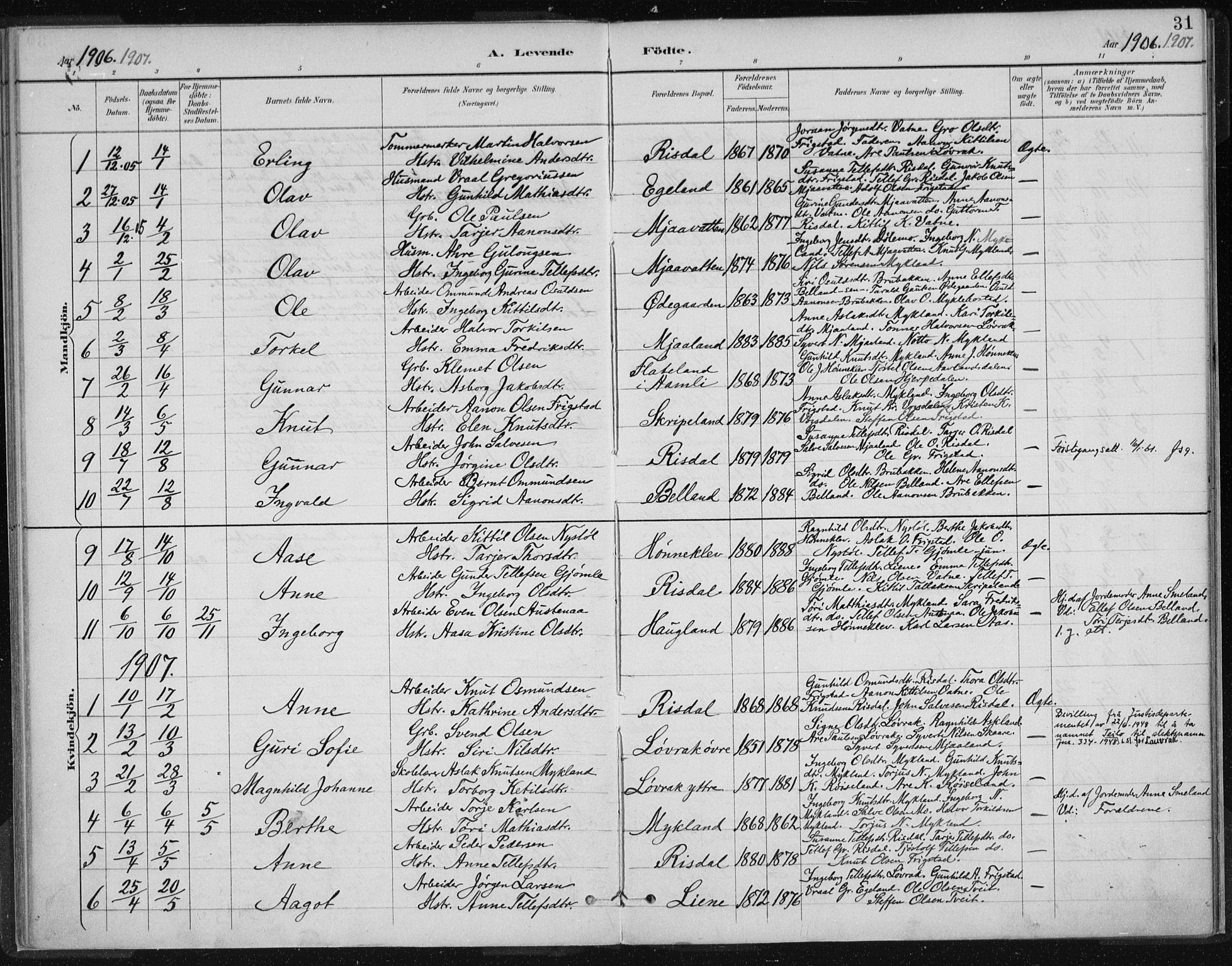 Herefoss sokneprestkontor, SAK/1111-0019/F/Fa/Fac/L0002: Parish register (official) no. A 2, 1887-1915, p. 31