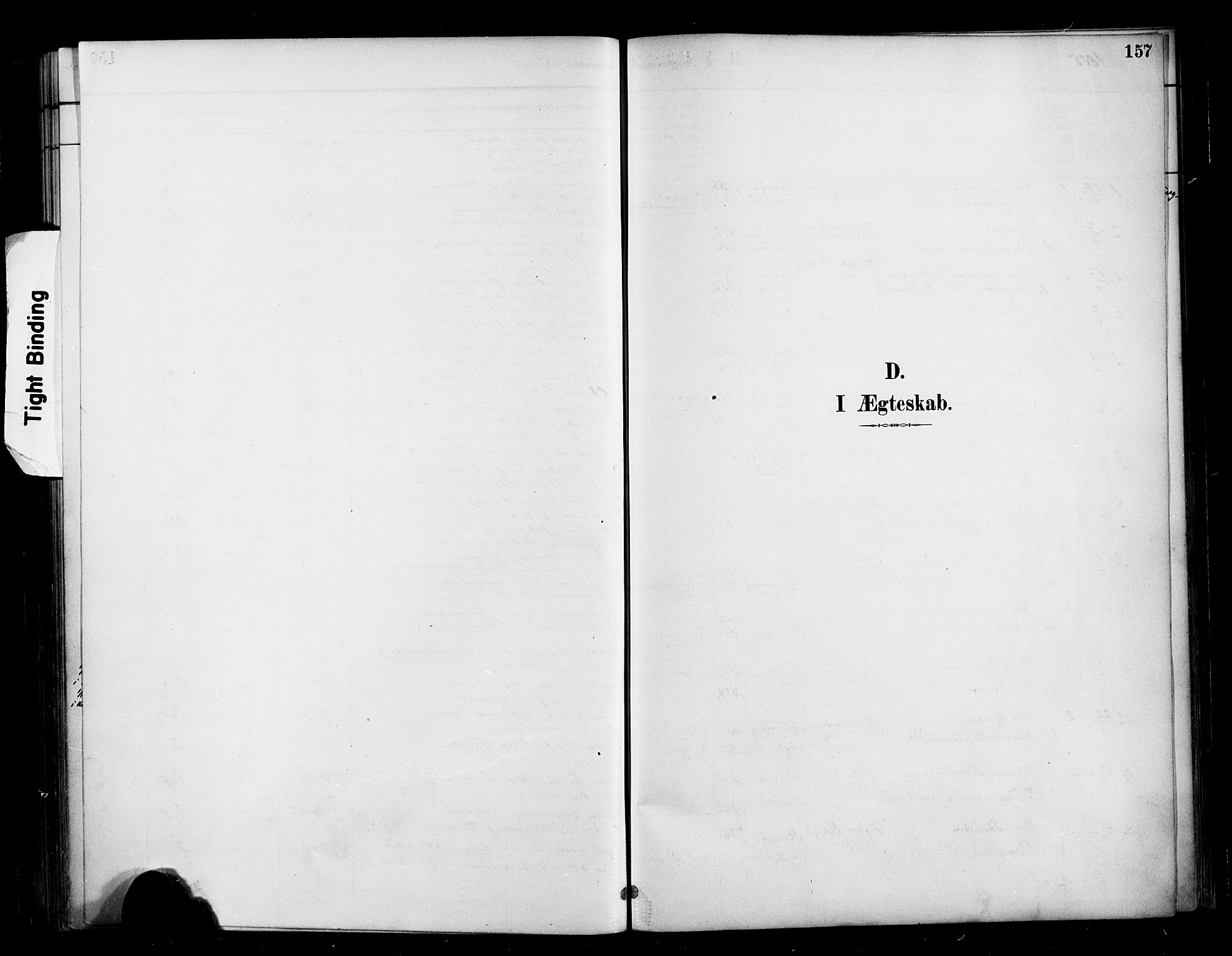 Ministerialprotokoller, klokkerbøker og fødselsregistre - Møre og Romsdal, SAT/A-1454/569/L0819: Parish register (official) no. 569A05, 1885-1899, p. 157