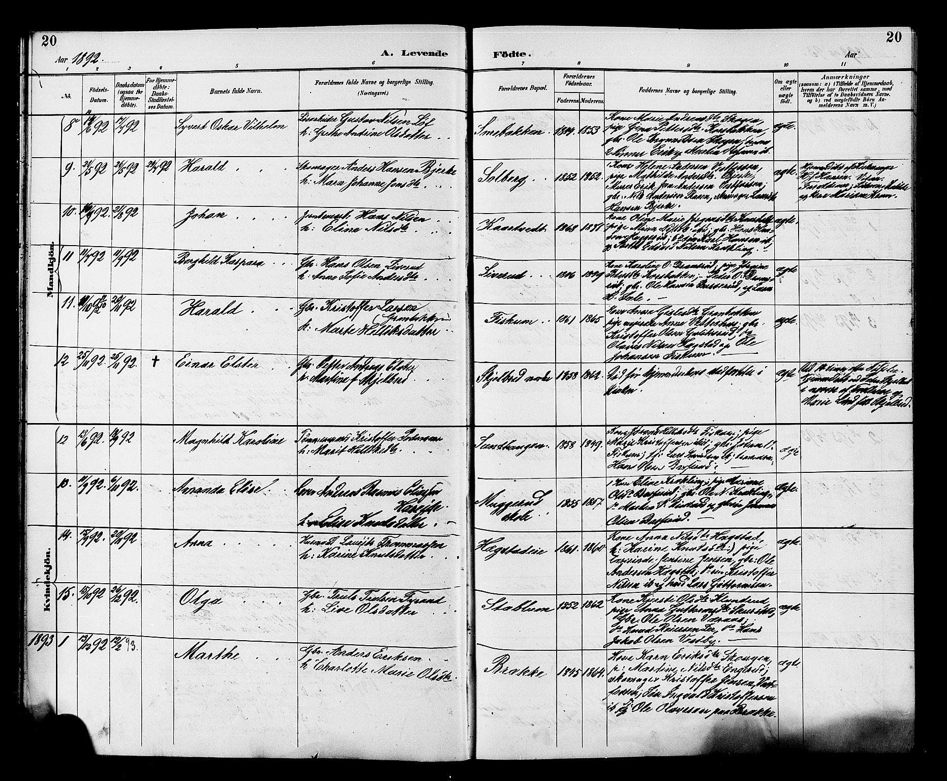 Fiskum kirkebøker, AV/SAKO-A-15/G/Ga/L0005: Parish register (copy) no. 5, 1887-1912, p. 20