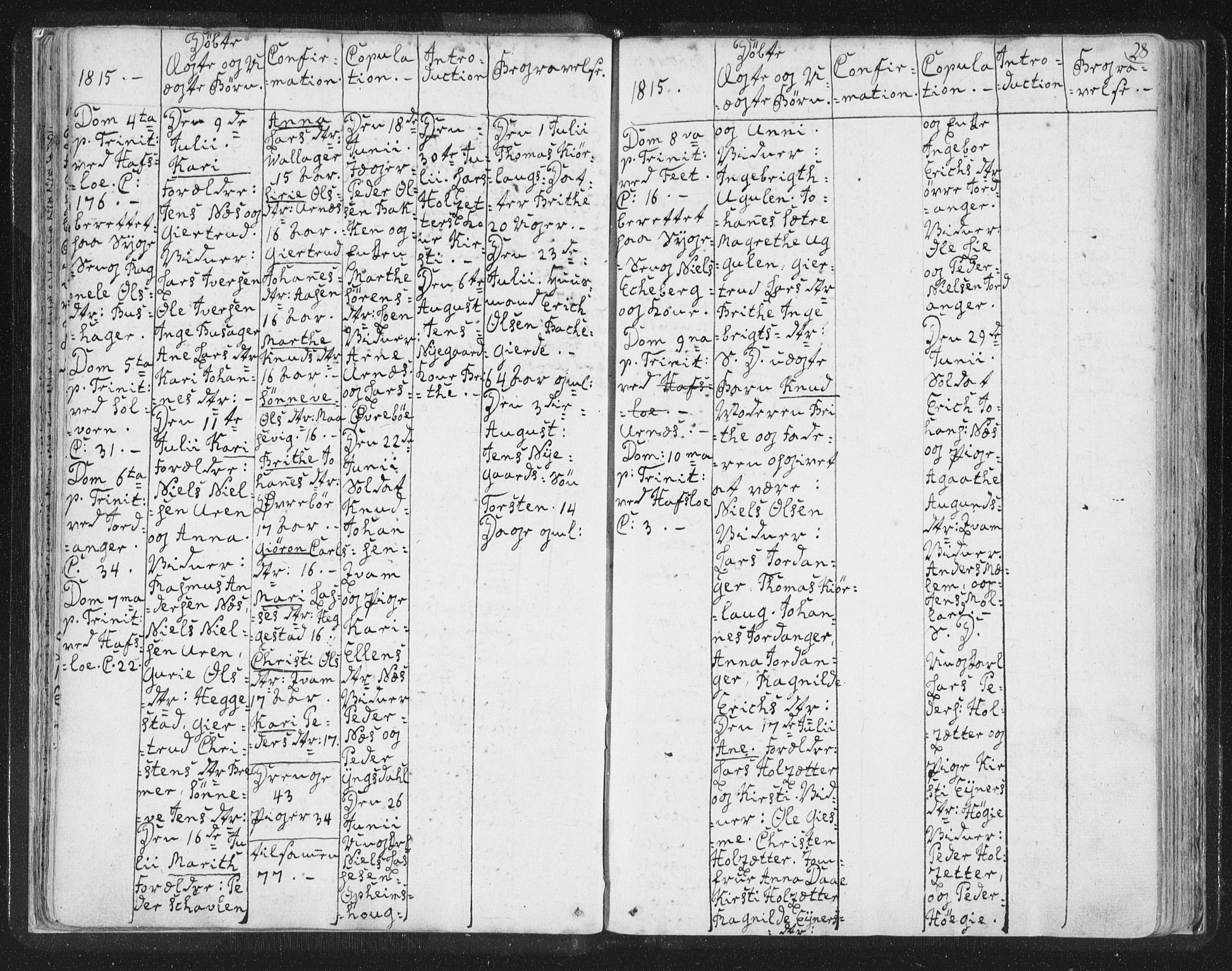 Hafslo sokneprestembete, AV/SAB-A-80301/H/Haa/Haaa/L0003: Parish register (official) no. A 3, 1807-1821, p. 28