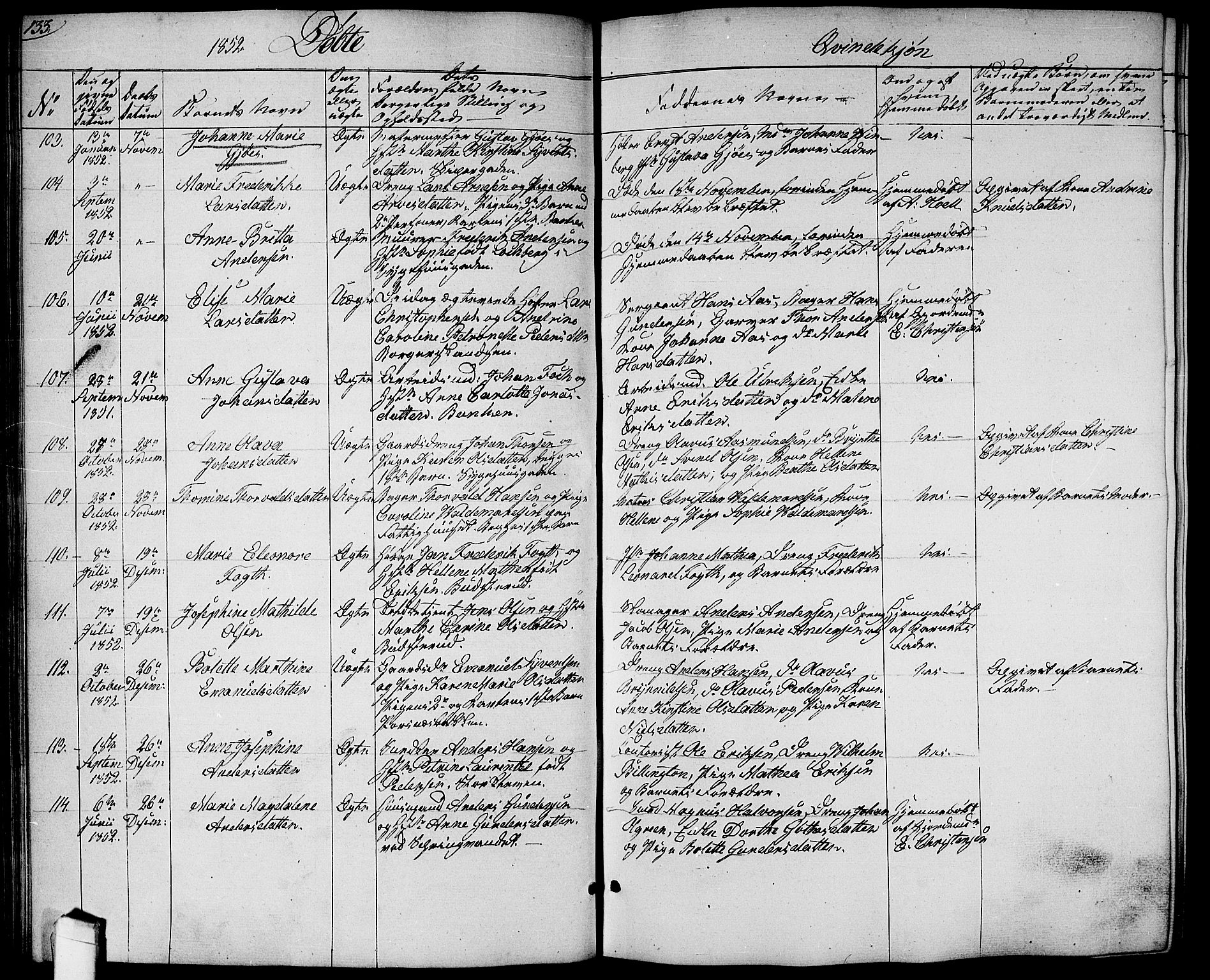 Halden prestekontor Kirkebøker, SAO/A-10909/G/Ga/L0004: Parish register (copy) no. 4, 1845-1854, p. 133