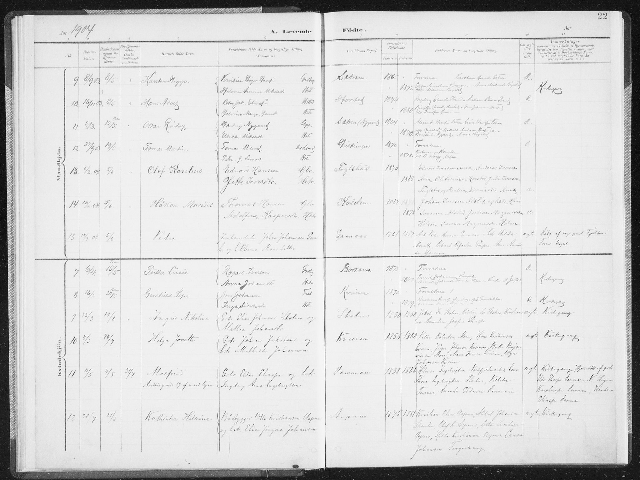 Ministerialprotokoller, klokkerbøker og fødselsregistre - Nordland, AV/SAT-A-1459/810/L0153: Parish register (official) no. 810A12, 1899-1914, p. 22