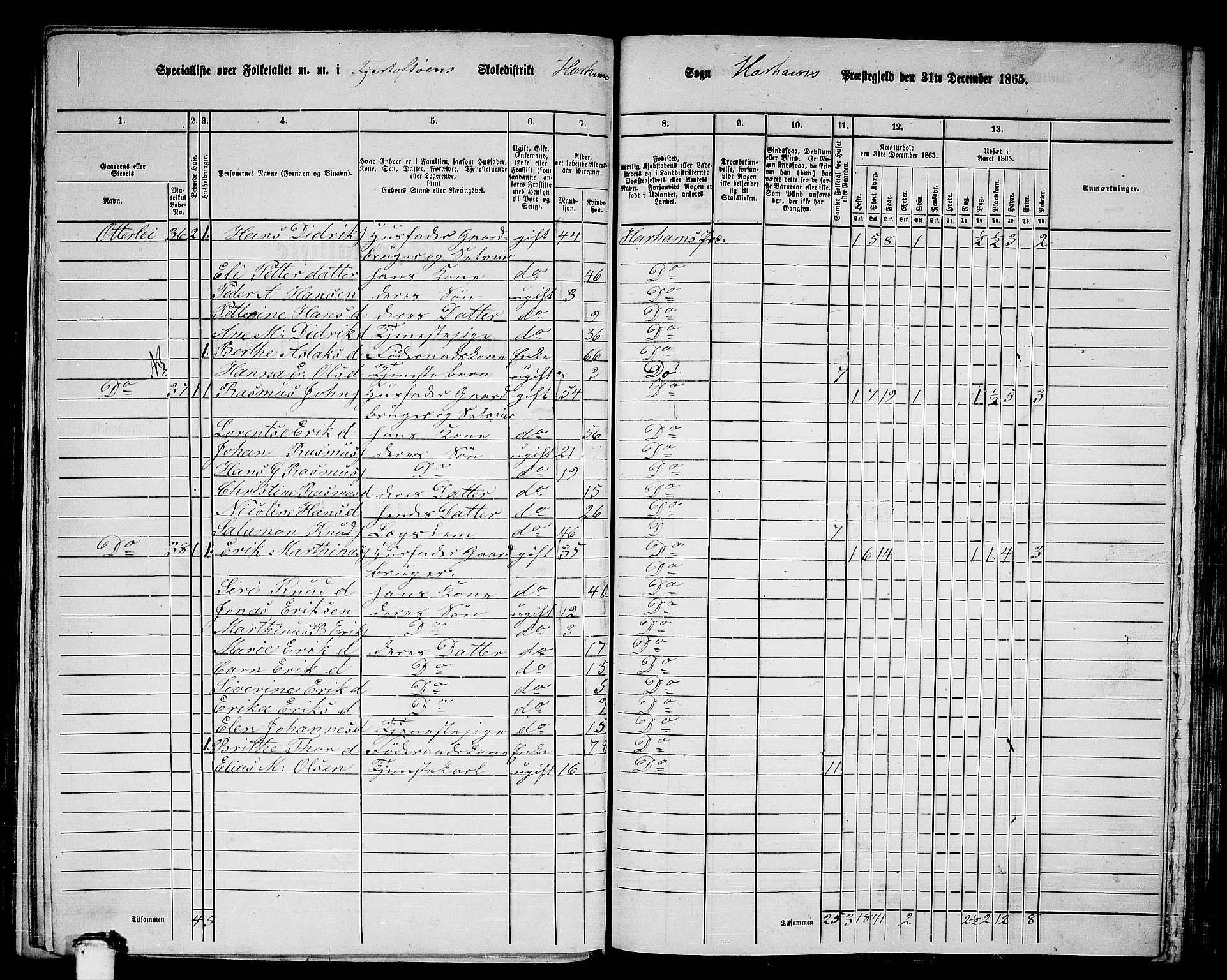 RA, 1865 census for Haram, 1865, p. 20