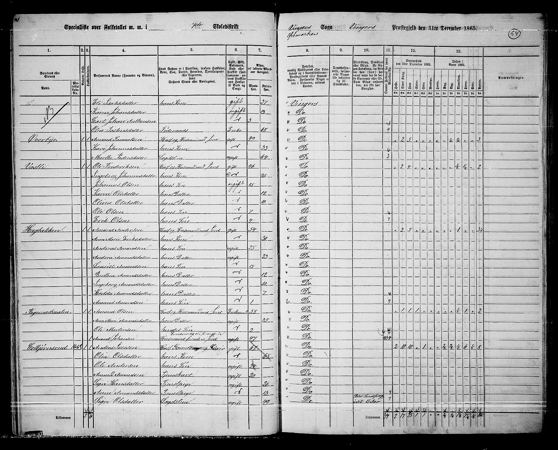 RA, 1865 census for Vinger/Vinger og Austmarka, 1865, p. 51