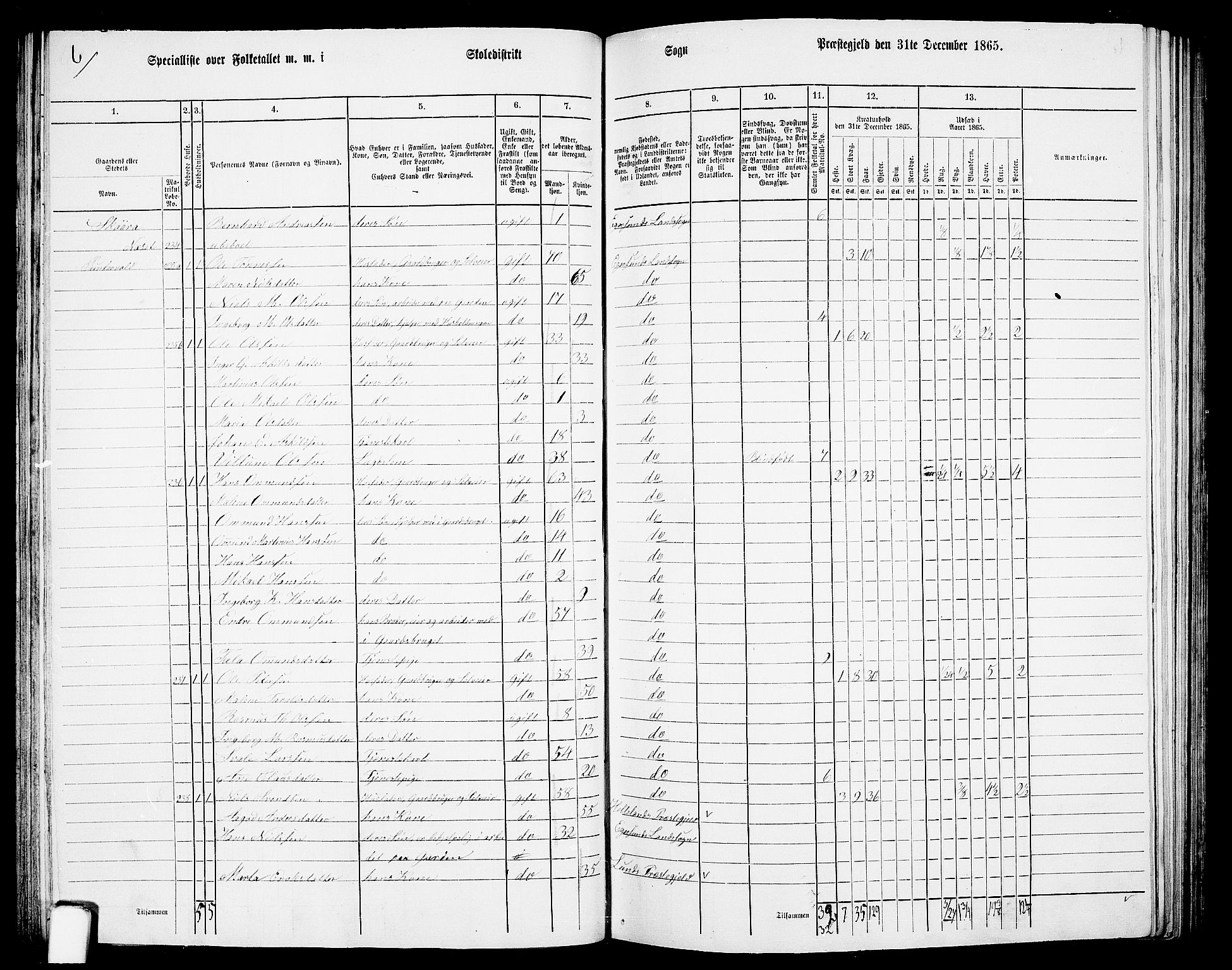 RA, 1865 census for Eigersund/Eigersund og Ogna, 1865, p. 62