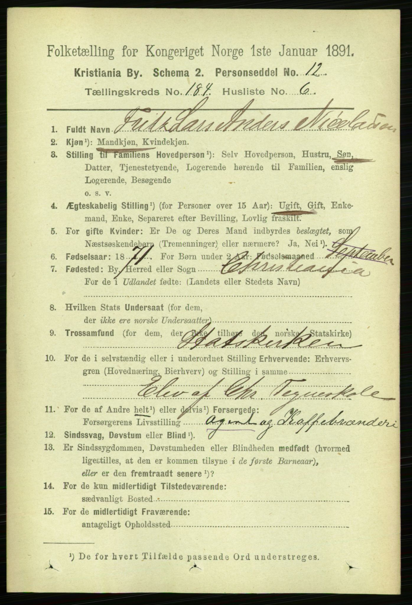 RA, 1891 census for 0301 Kristiania, 1891, p. 110203