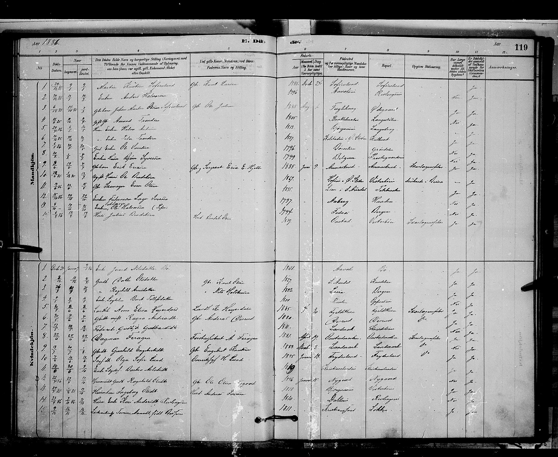 Nord-Aurdal prestekontor, SAH/PREST-132/H/Ha/Hab/L0006: Parish register (copy) no. 6, 1878-1892, p. 119