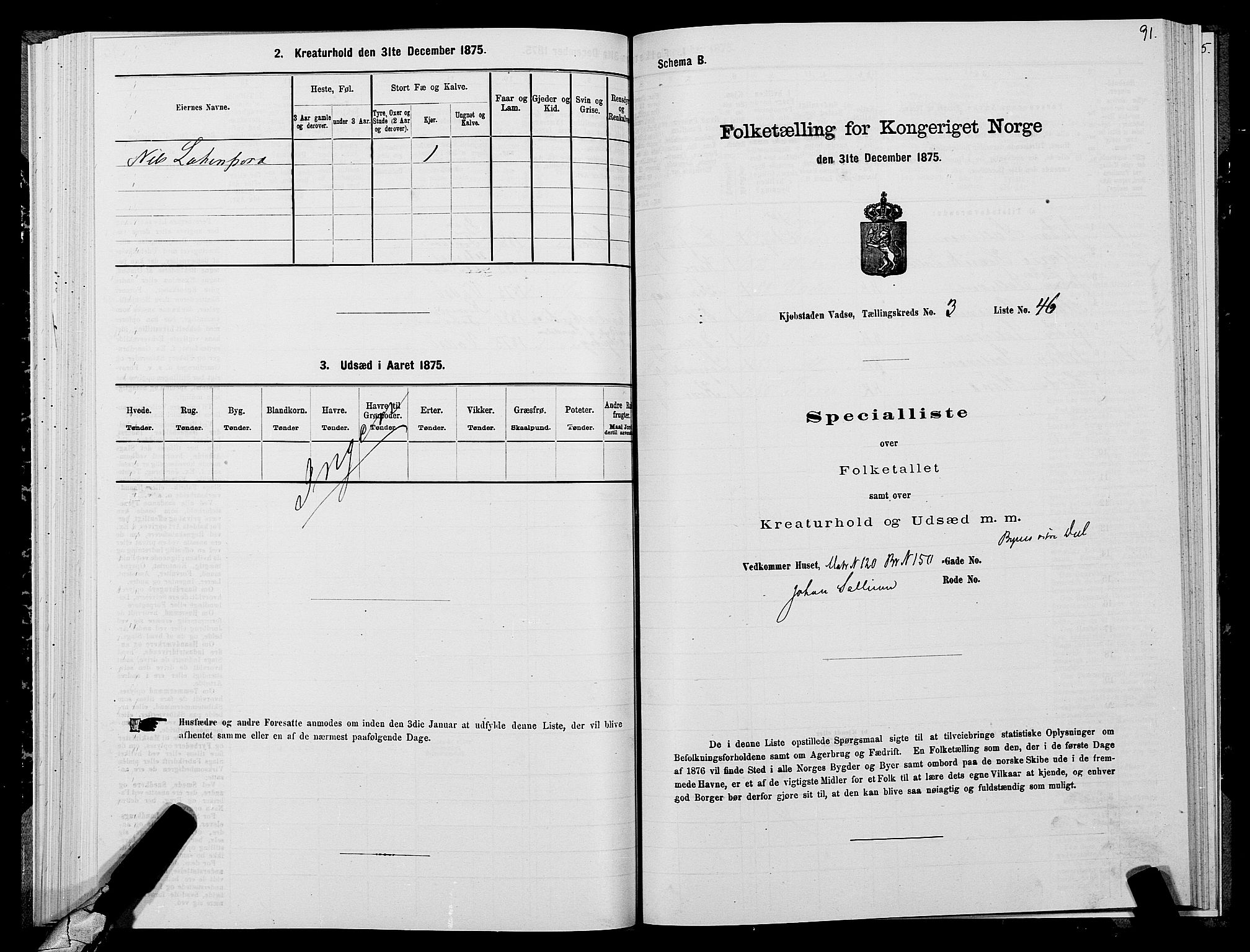 SATØ, 1875 census for 2003B Vadsø/Vadsø, 1875, p. 2091