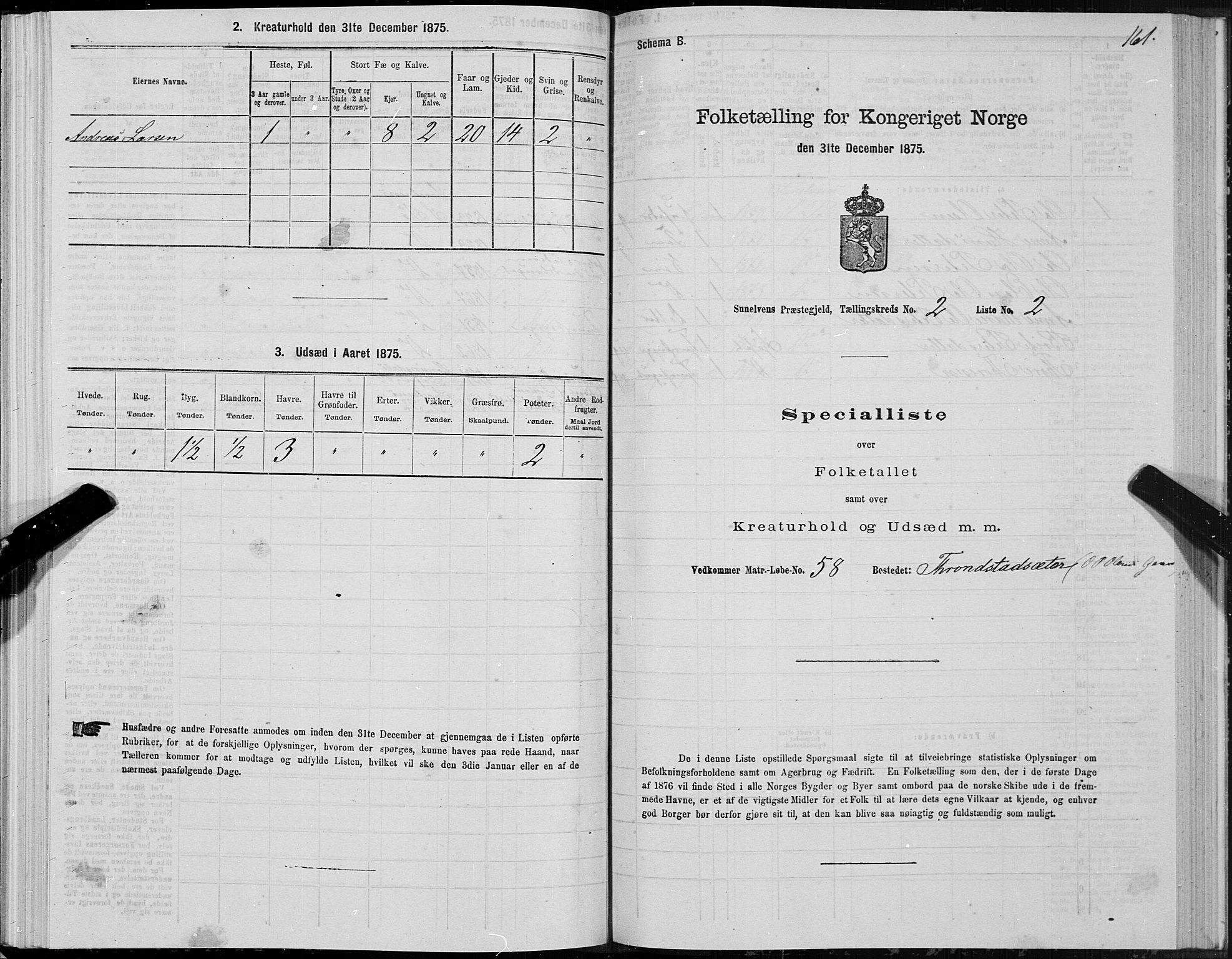 SAT, 1875 census for 1523P Sunnylven, 1875, p. 1161